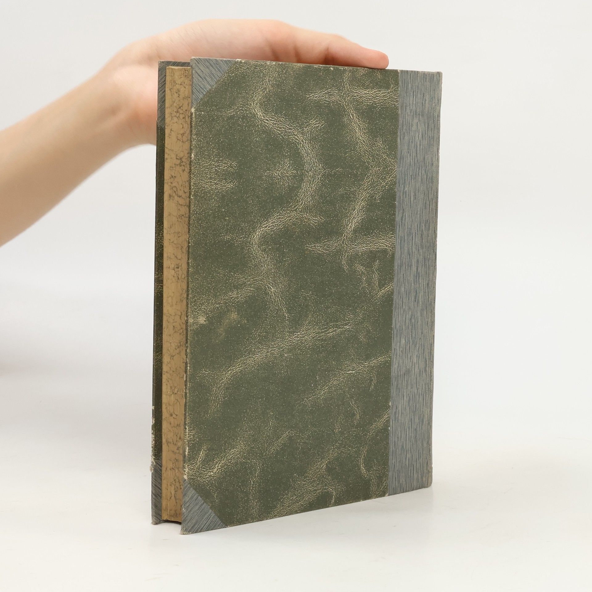Wilhelm Wägner Neue Jugend- und Hausbibliothek 5-6. Unsre Vorzeit