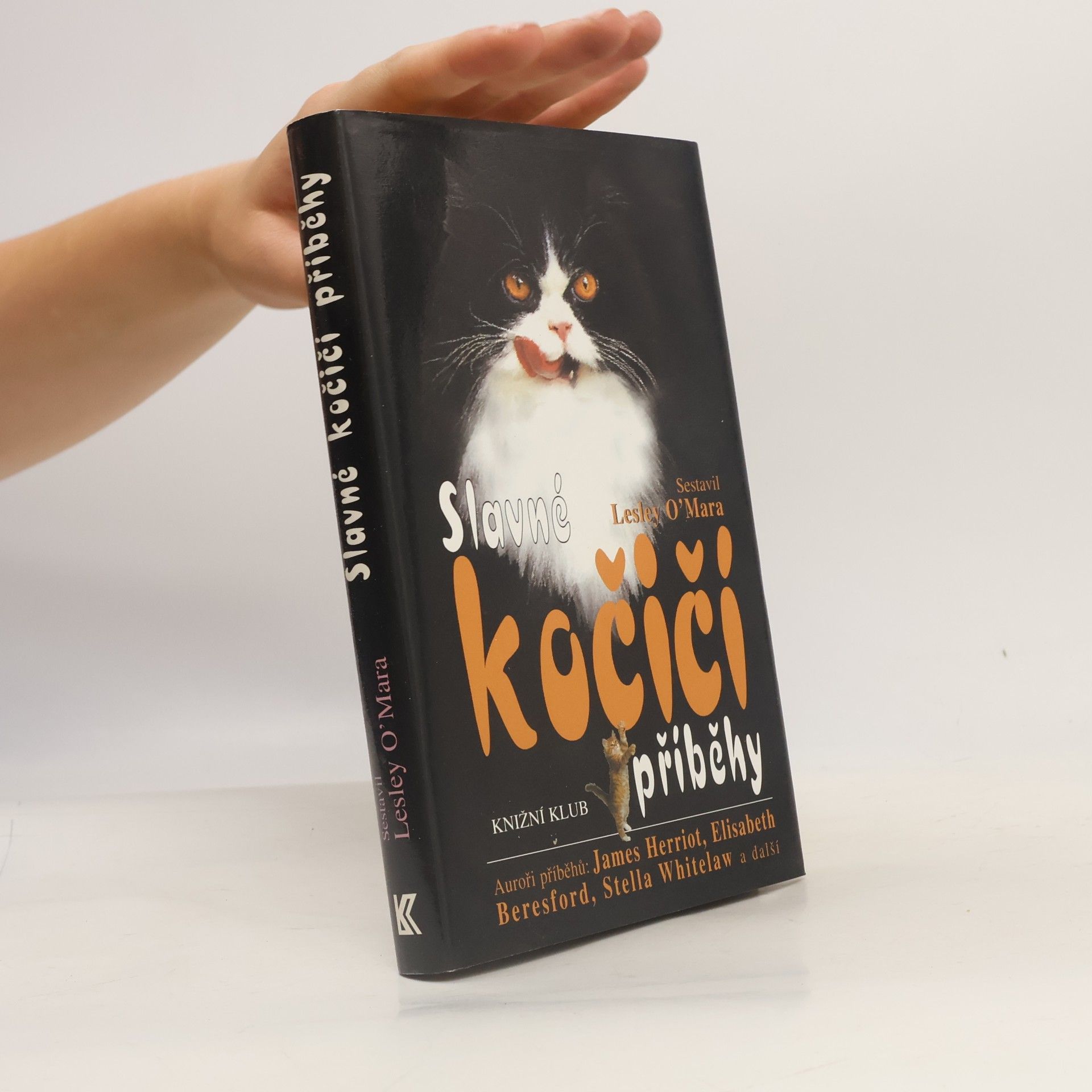 Lesley OMara Slavné kočičí příběhy