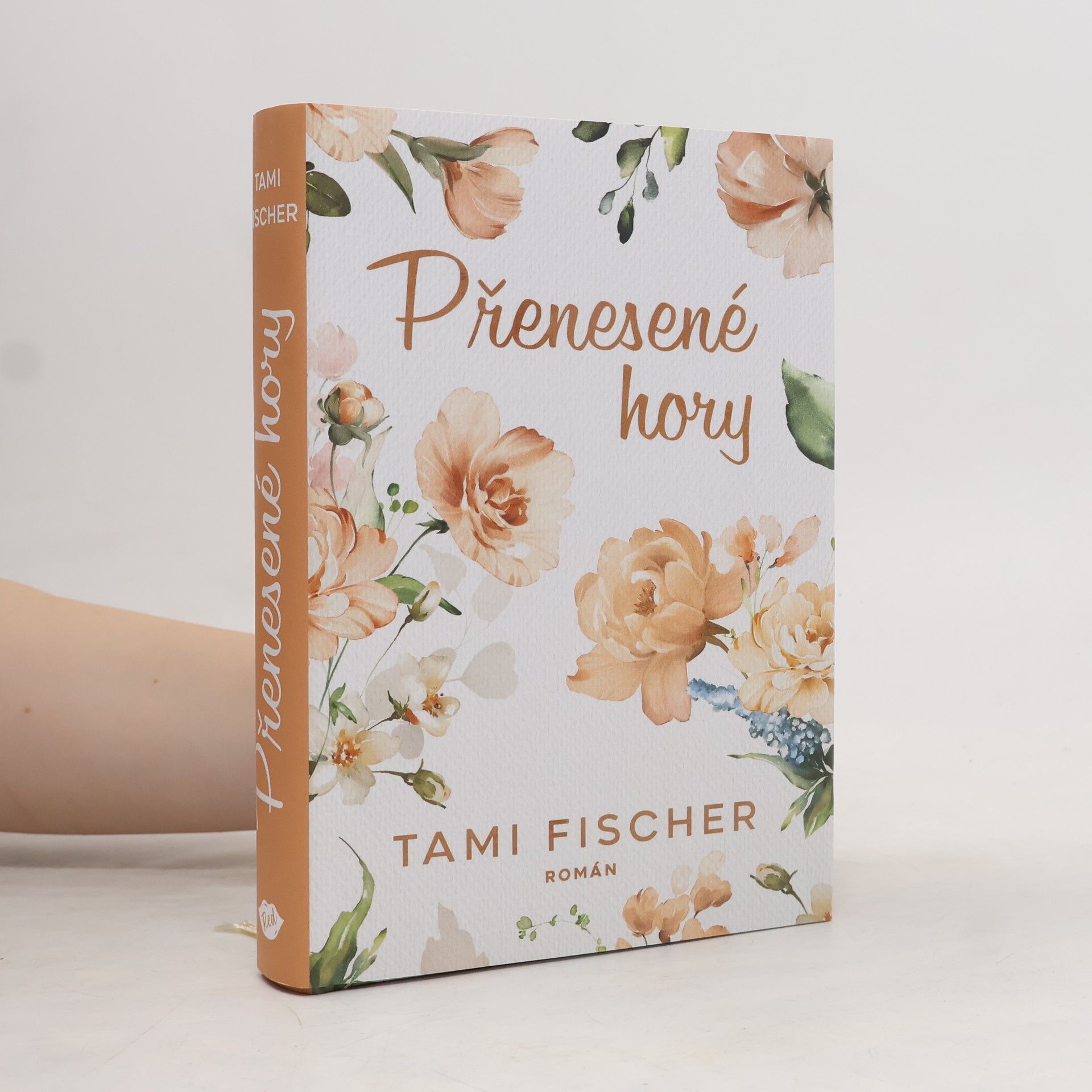 Tami Fischer Přenesené hory