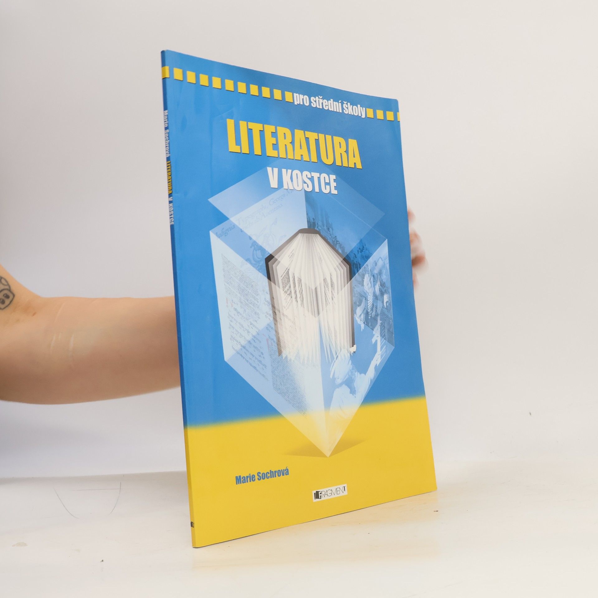 Marie Sochrová Literatura v kostce: Pro střední školy