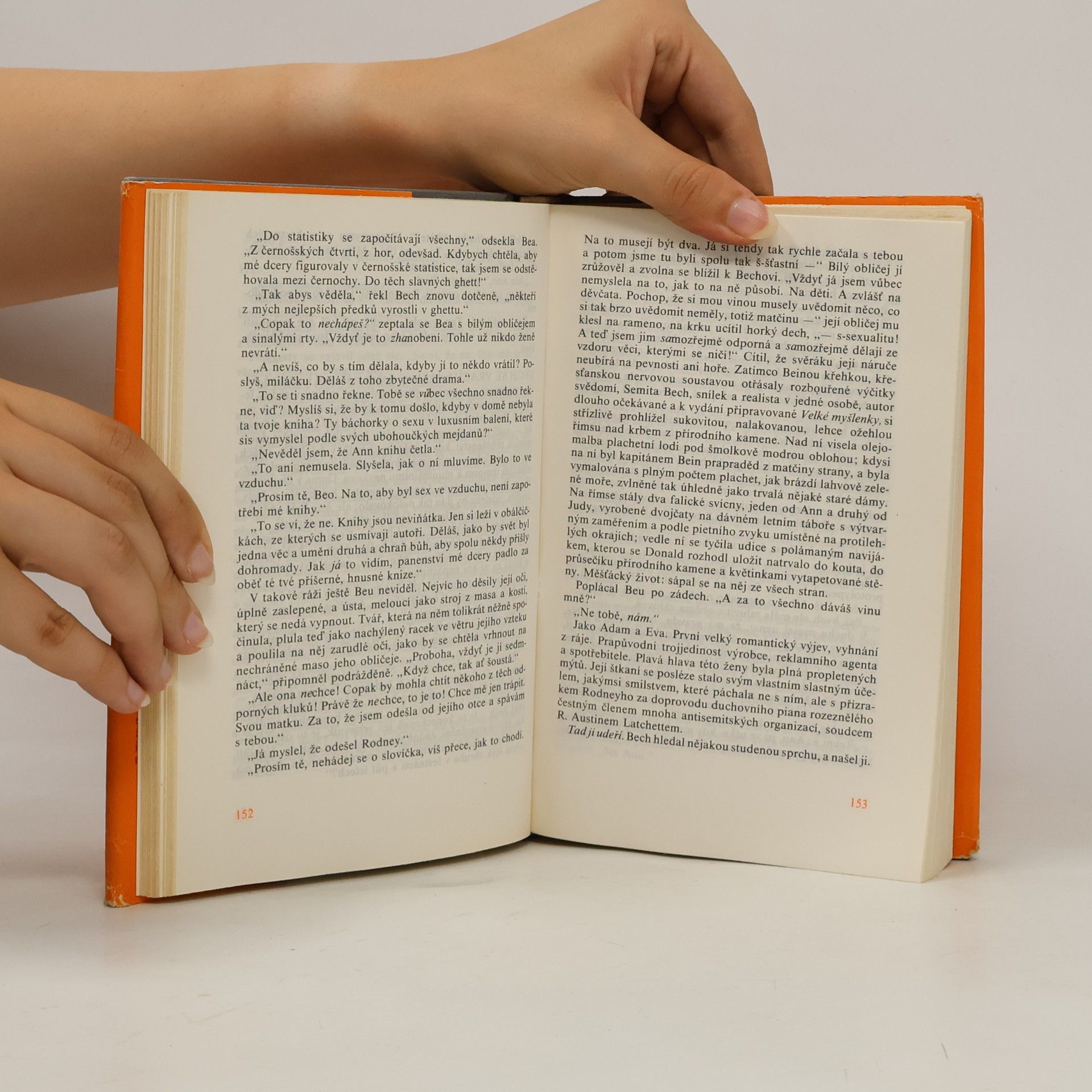 John Updike Milenci a manželé