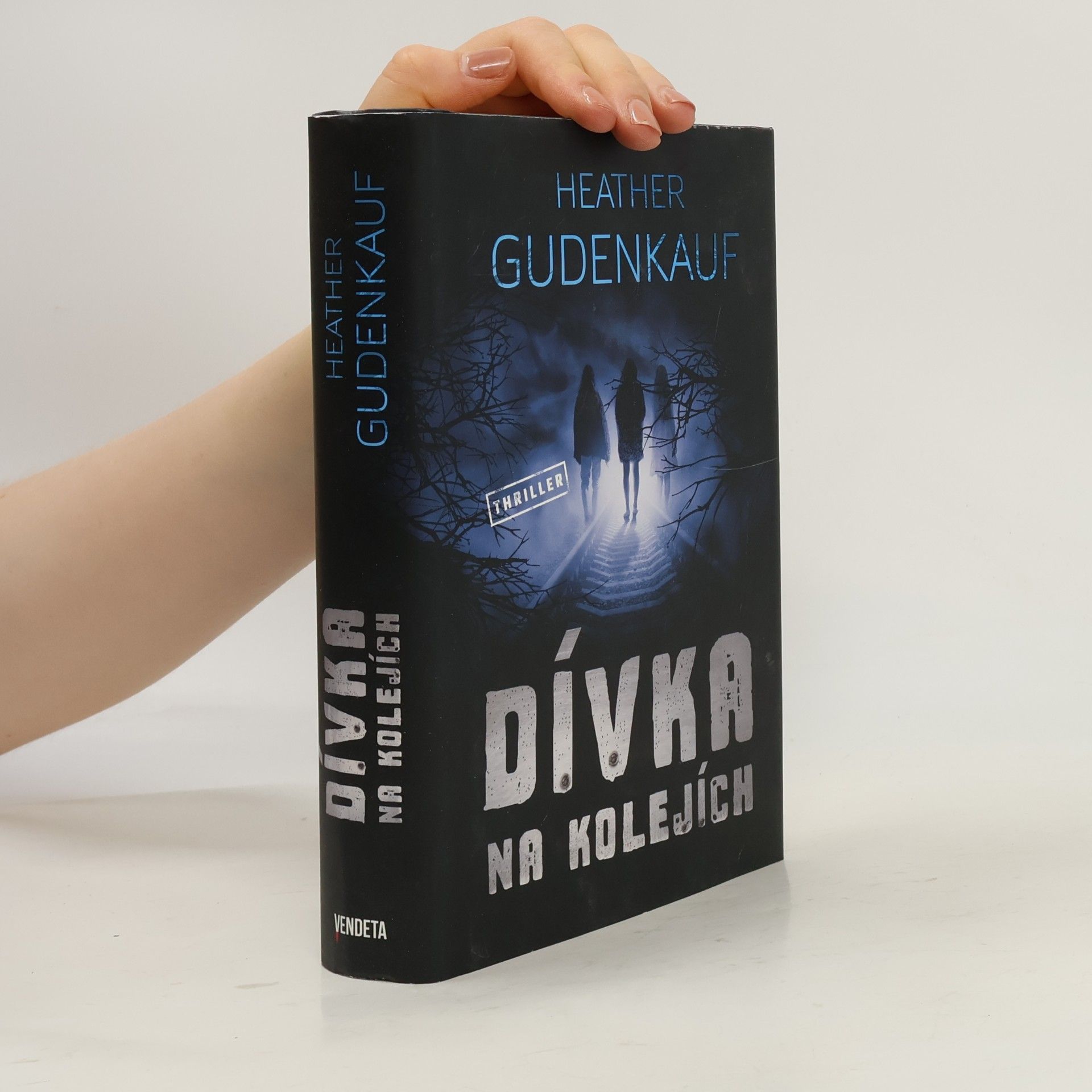 Heather Gudenkauf Dívka na kolejích
