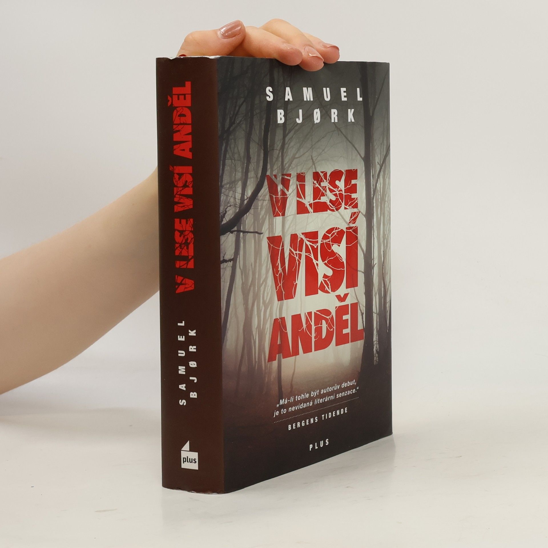Samuel Bjork V lese visí anděl