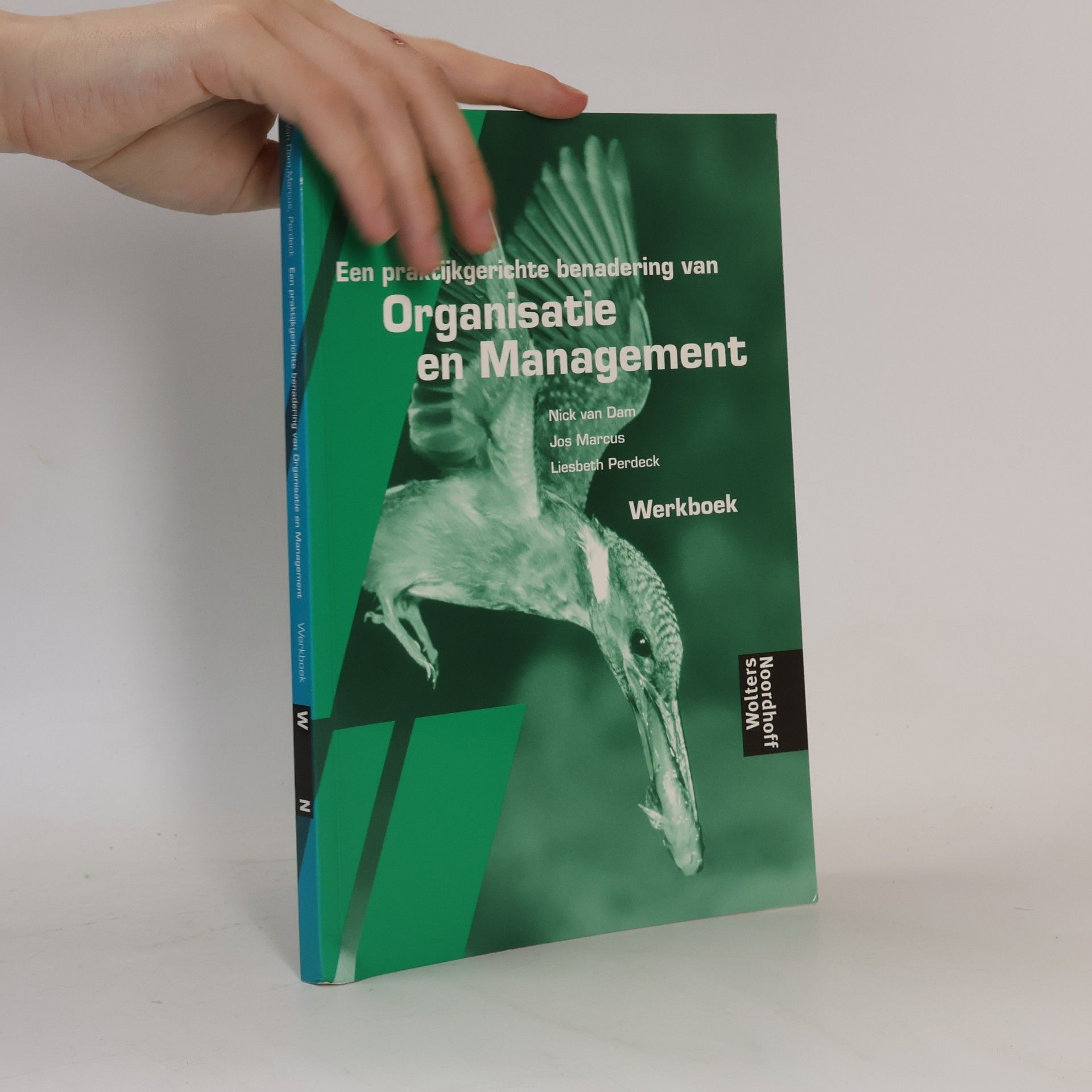 Een praktijkgerichte benadering van Organisatie en Management Werkboek