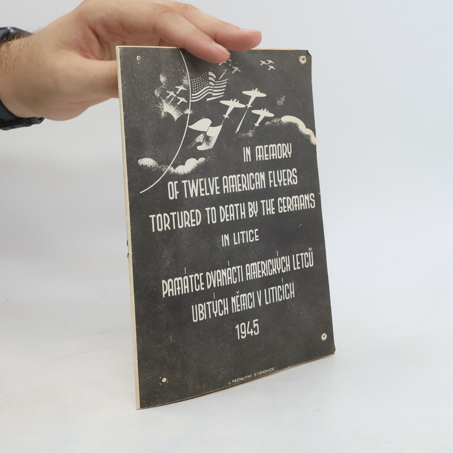 Autorenkollektiv Památce dvanácti amerických letců ubitých Němci v Liticích 1945