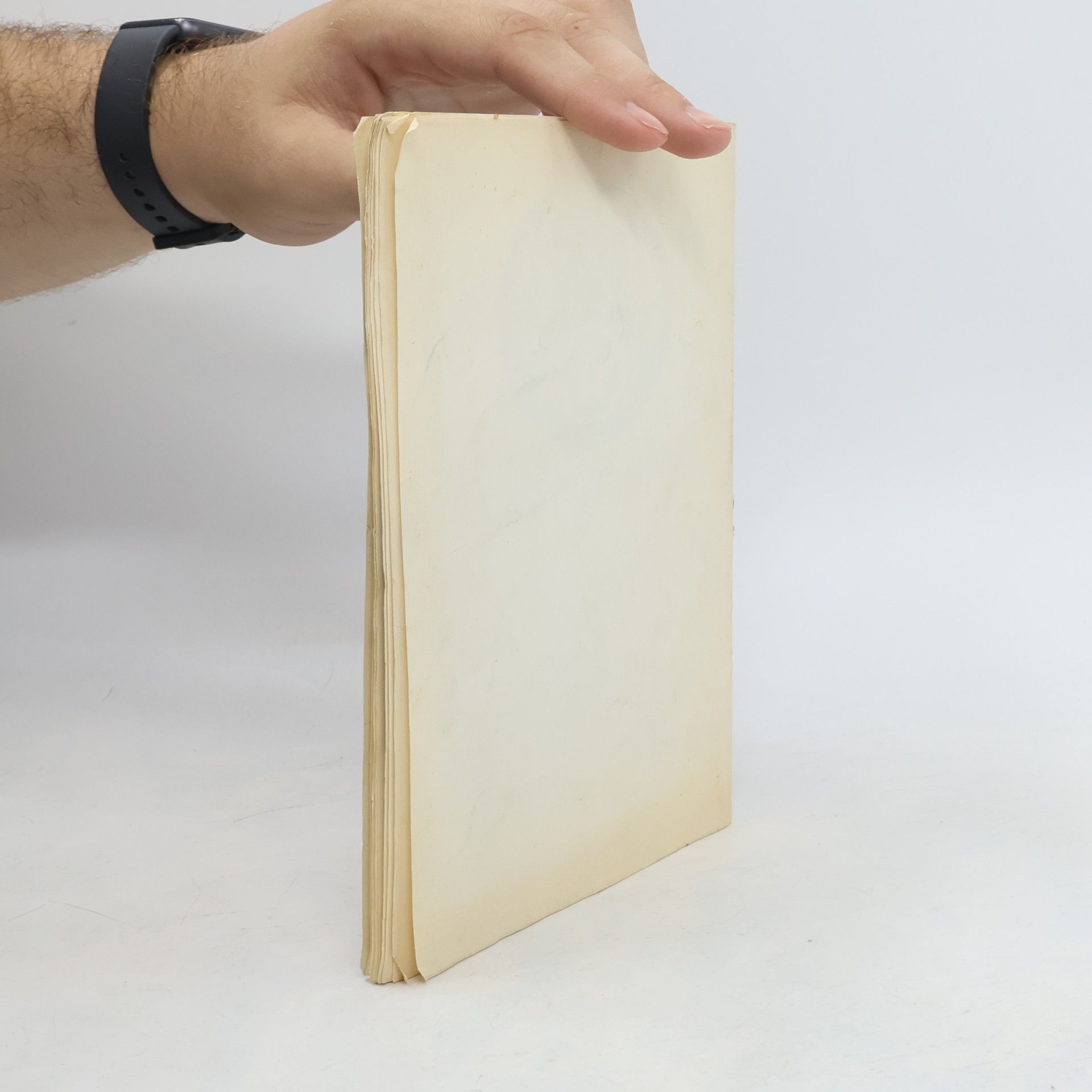 Autorenkollektiv Památce dvanácti amerických letců ubitých Němci v Liticích 1945