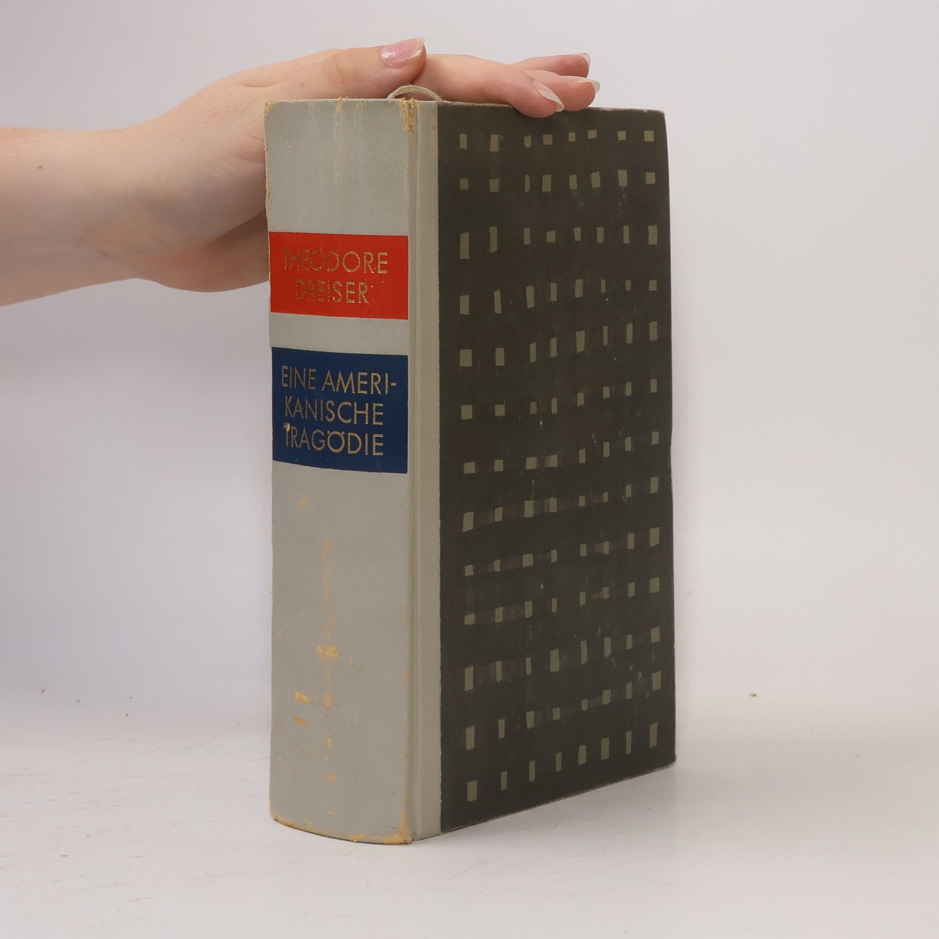 Theodore Dreiser Eine Amerikanische Tragödie