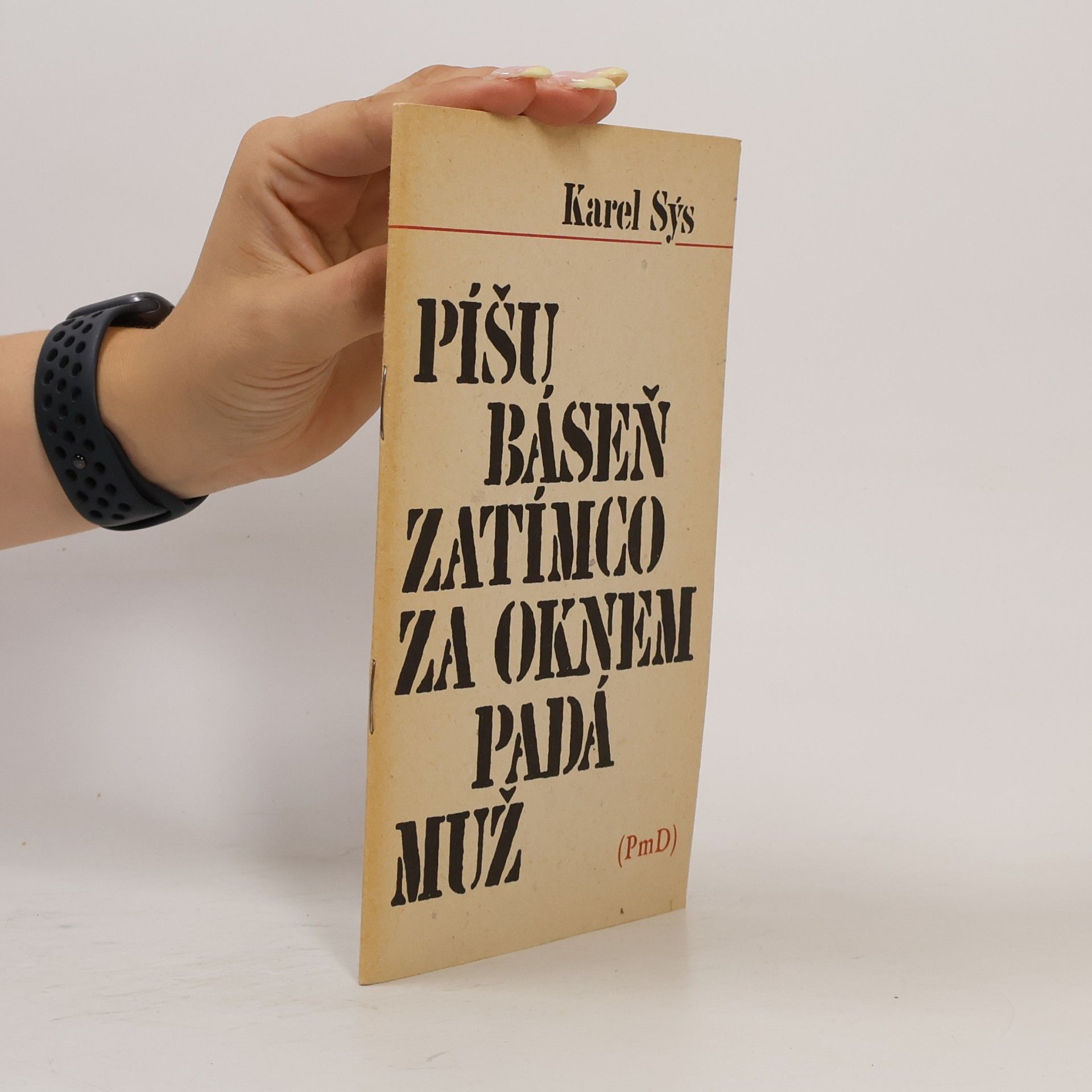 Karel Sýs Píšu báseň zatímco za oknem padá muž