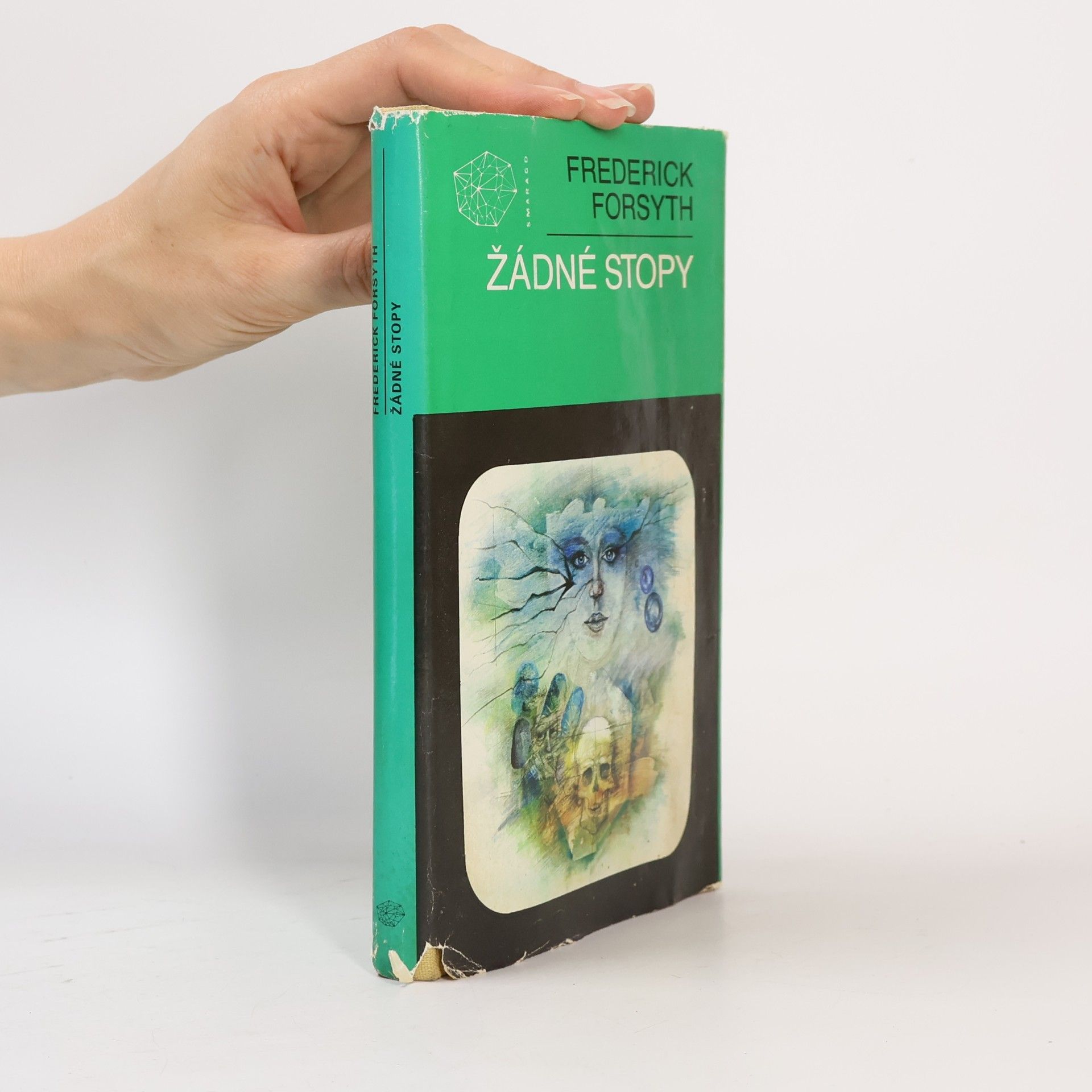 Frederick Forsyth Žádné stopy
