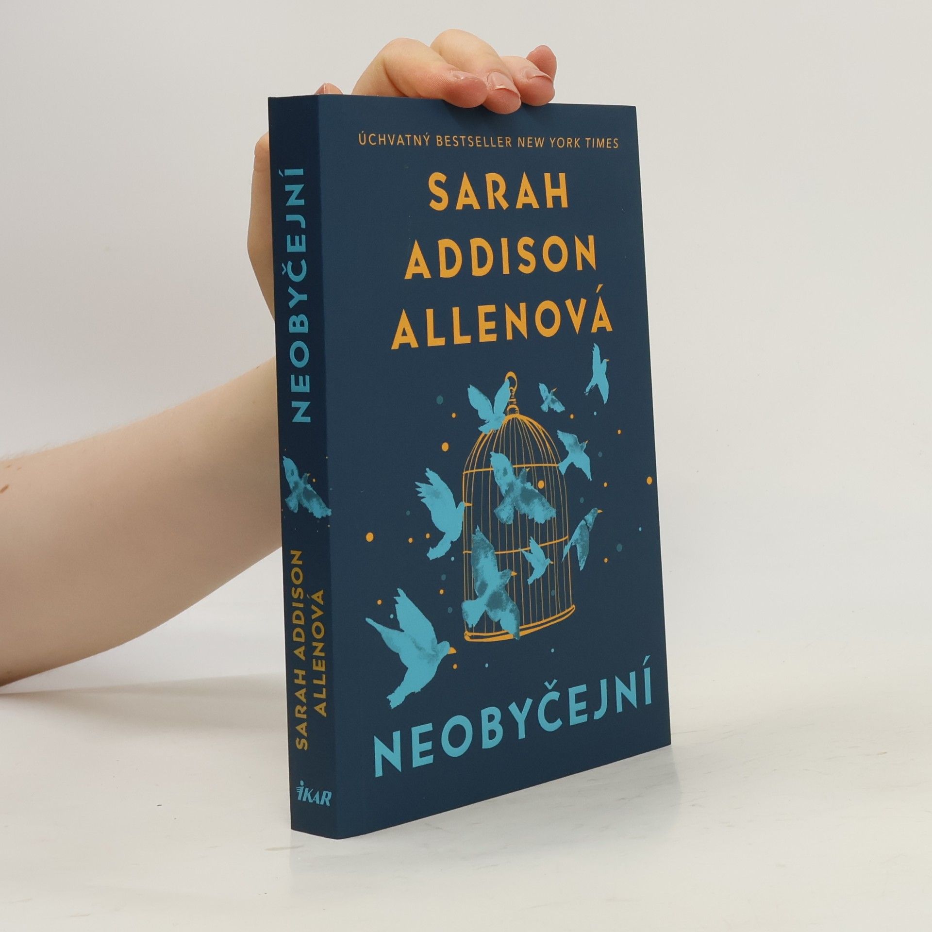 Sarah Addison Allen Neobyčejní