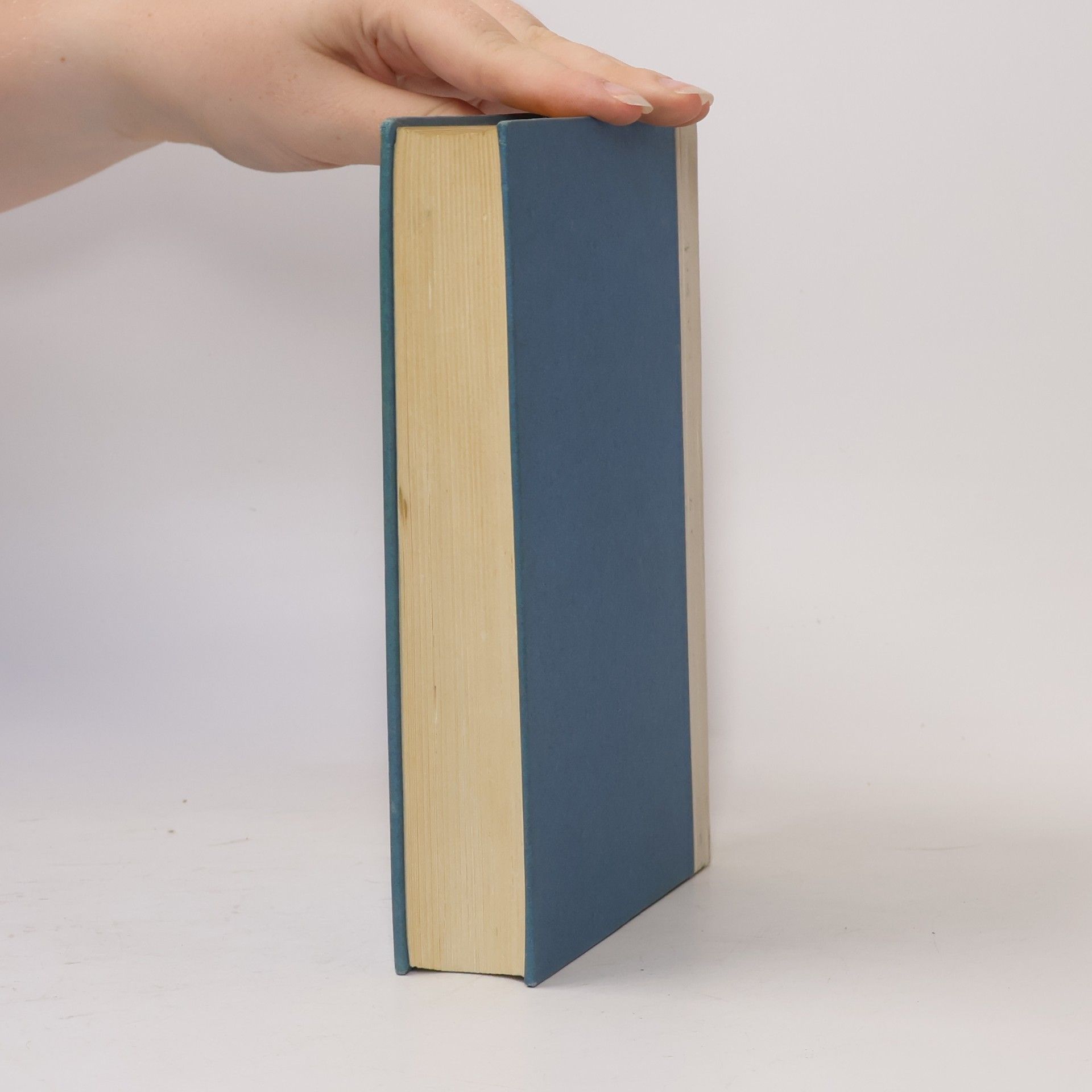 Isabel Hamer Perdita