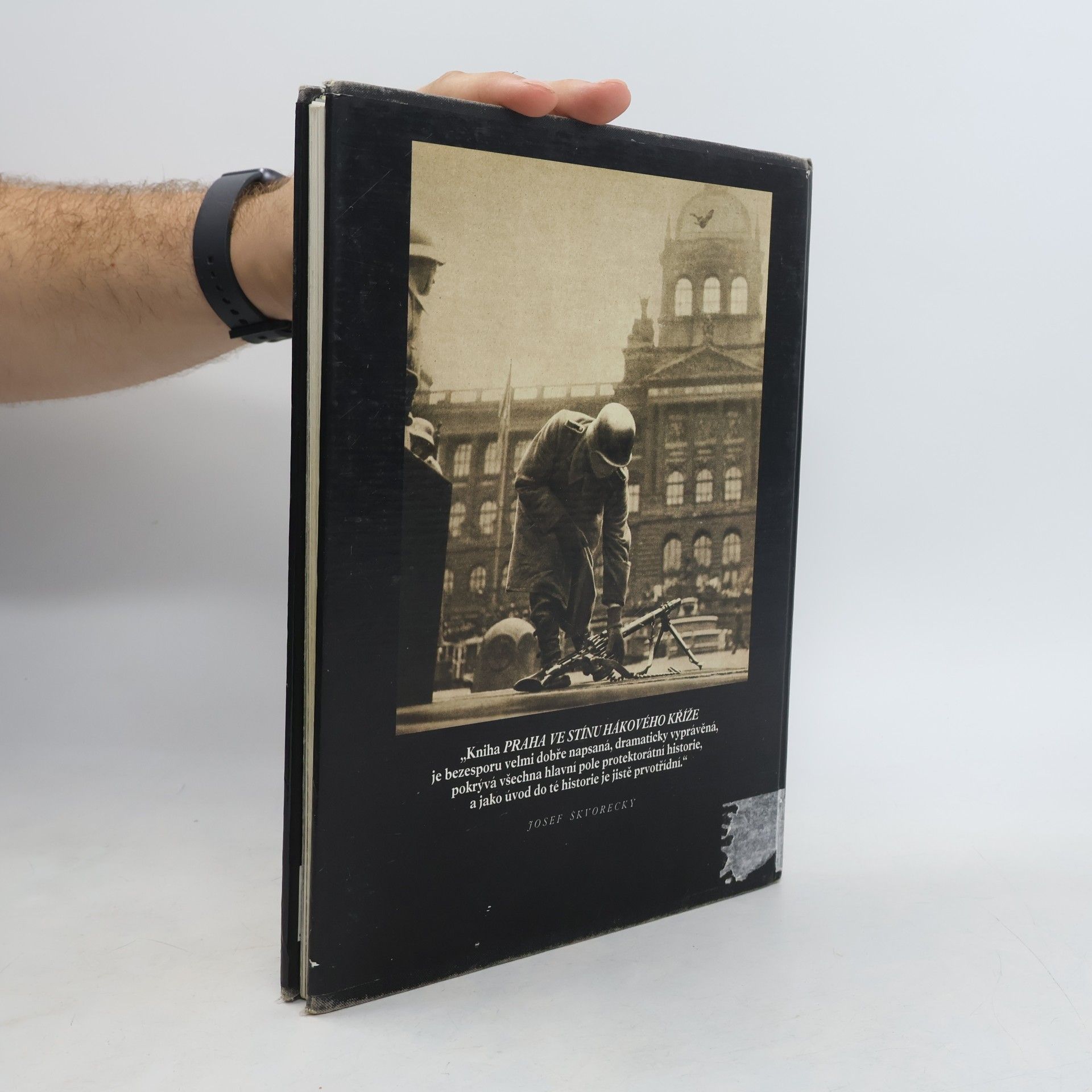 C. A. MacDonald Praha ve stínu hákového kříže