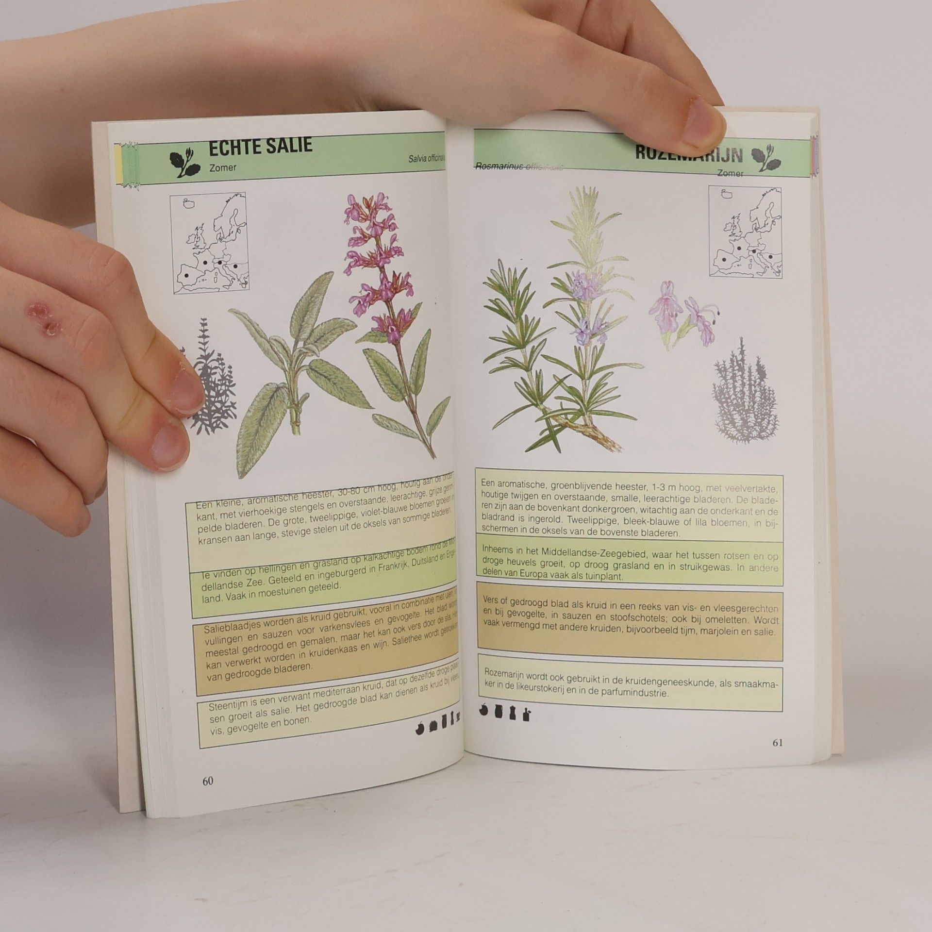 Pamela Forey Eetbare Planten
