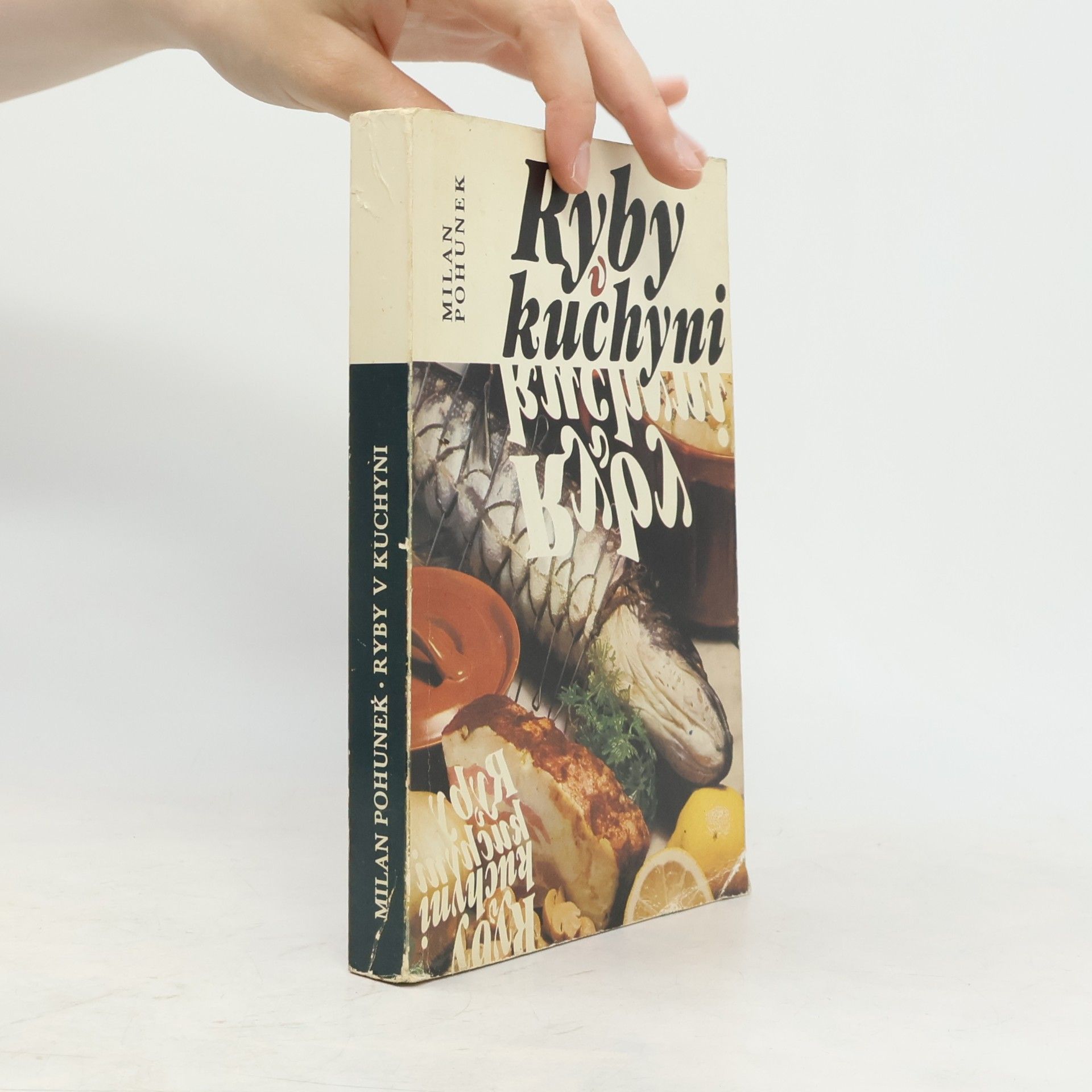 Milan Pohunek Ryby v kuchyni
