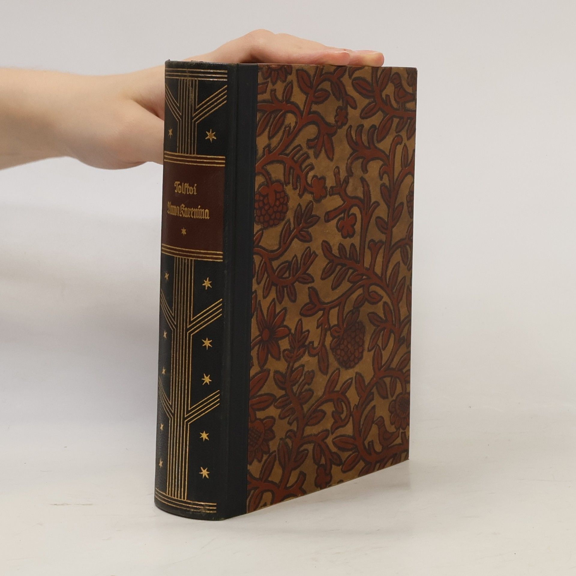 Lew Nikolajewitsch Tolstoi Anna Karenina 1
