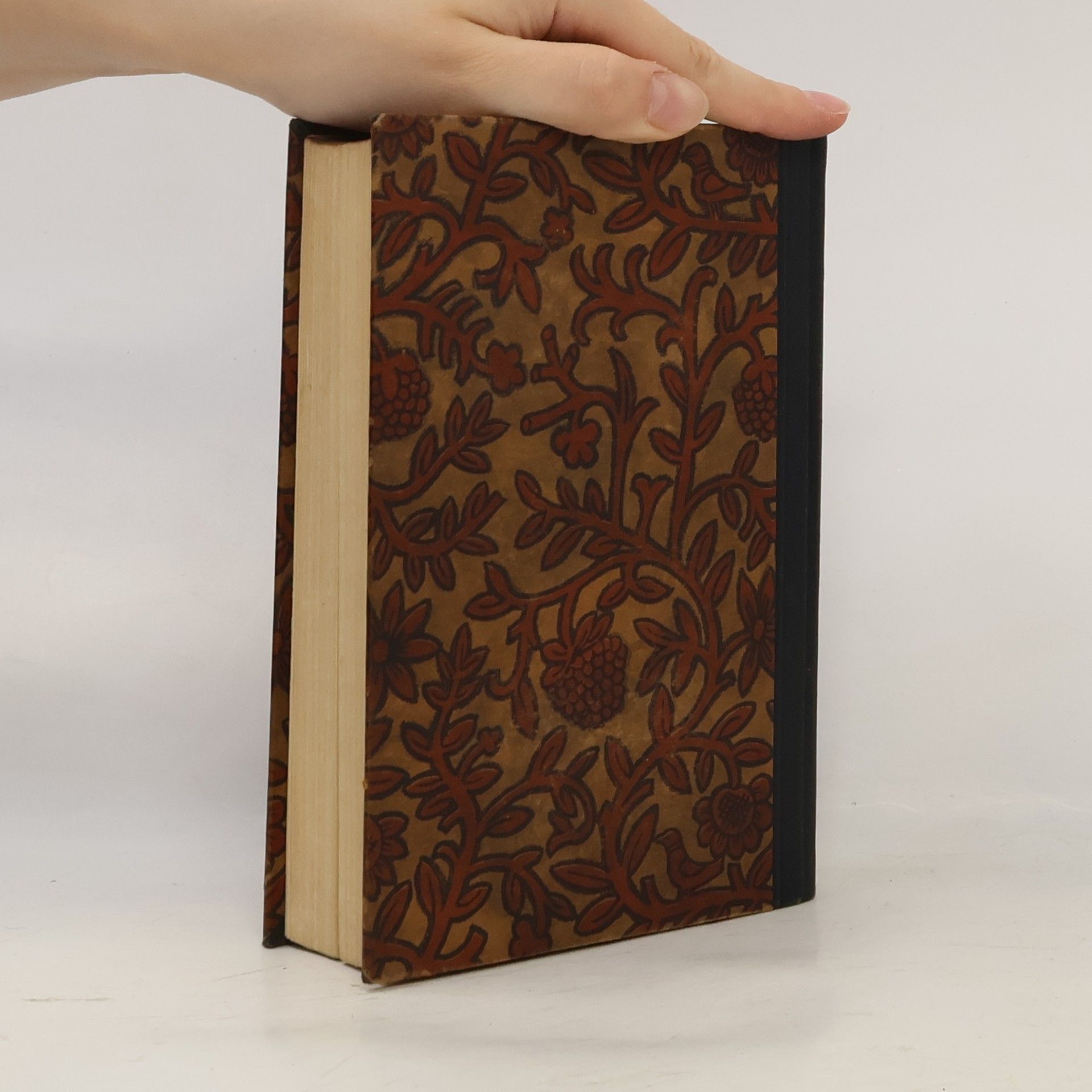 Lew Nikolajewitsch Tolstoi Anna Karenina 1