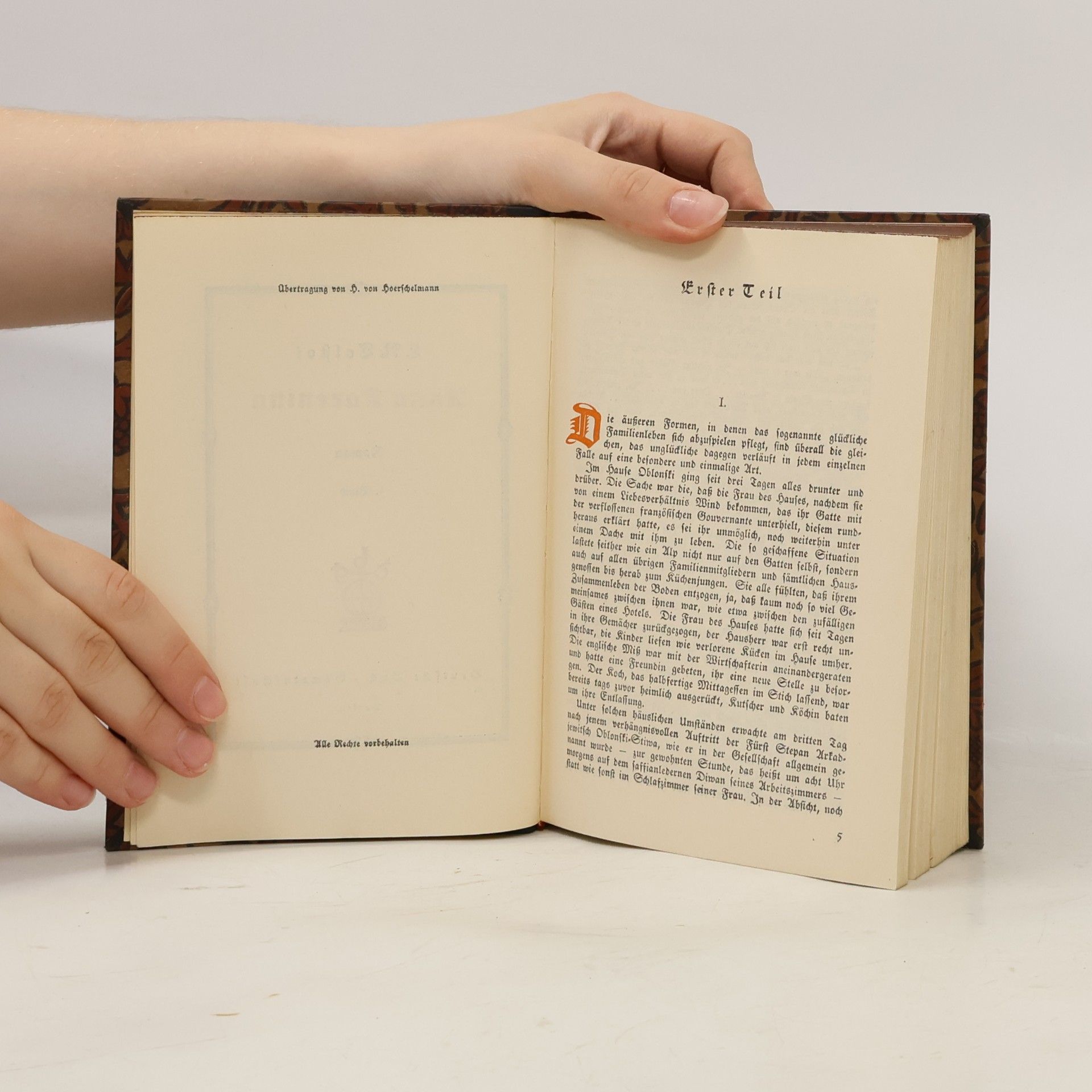 Lew Nikolajewitsch Tolstoi Anna Karenina 1