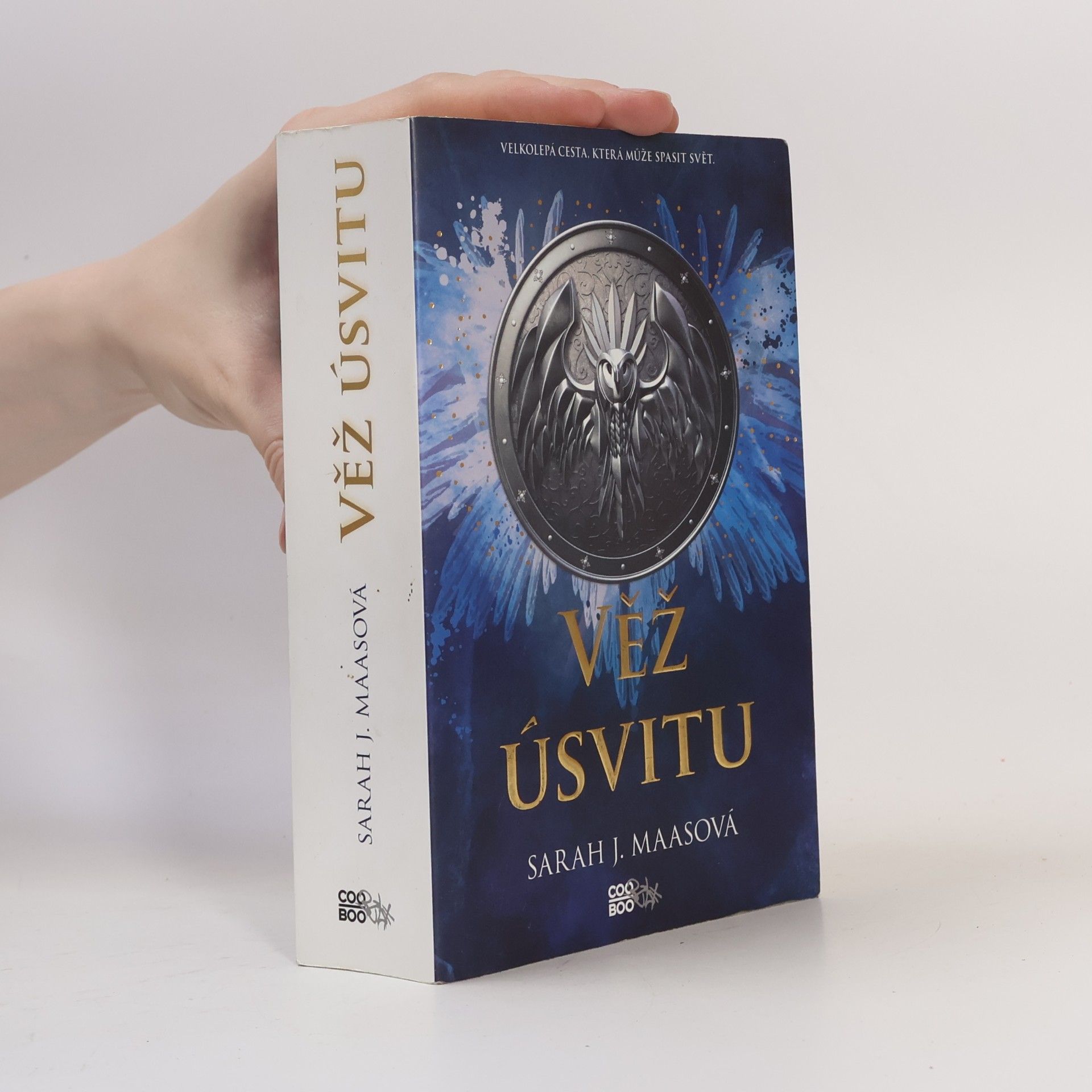 Sarah J. Maas Věž úsvitu