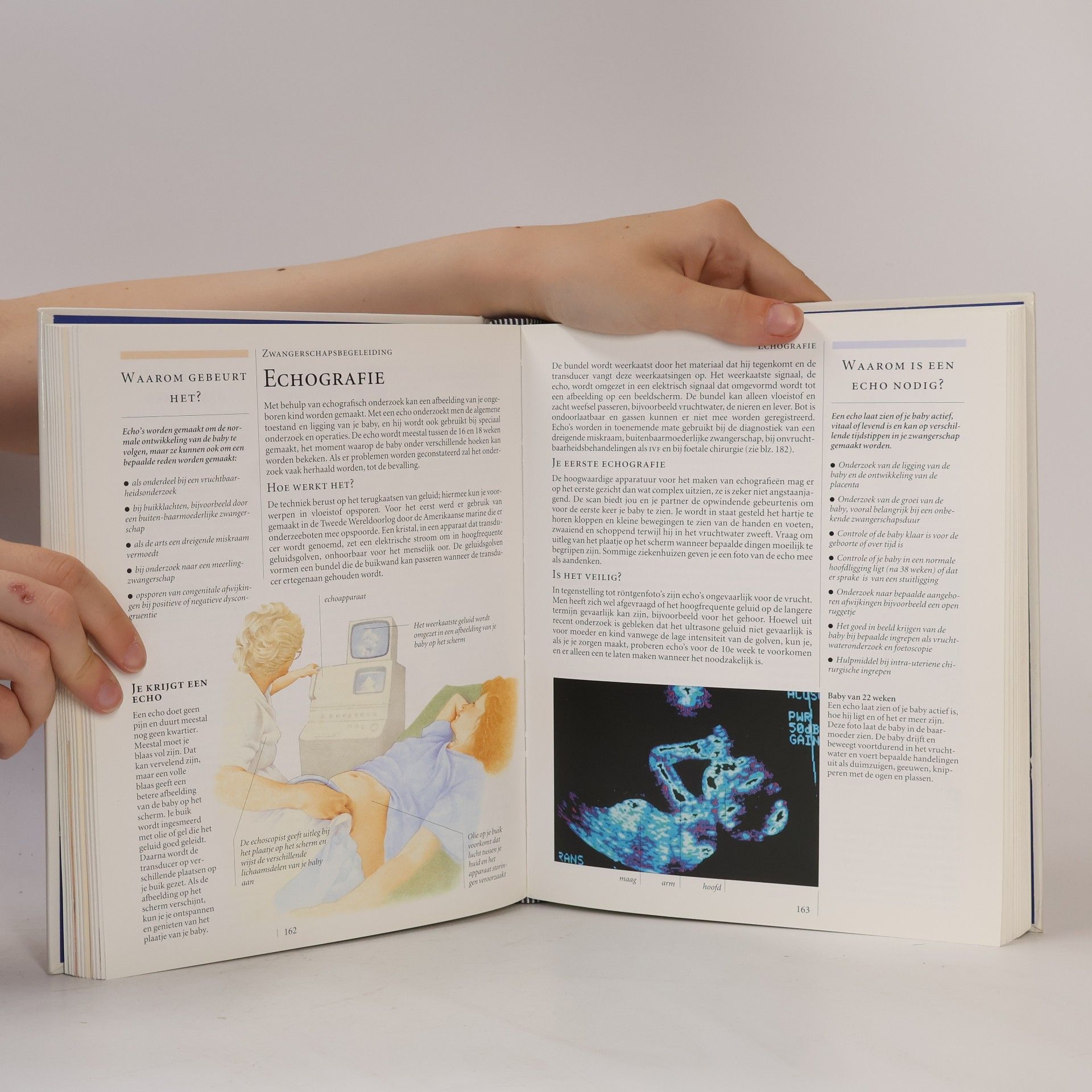 Autorenkollektiv Baby! Vruchtbaarheid, zwangerschap en geboorte