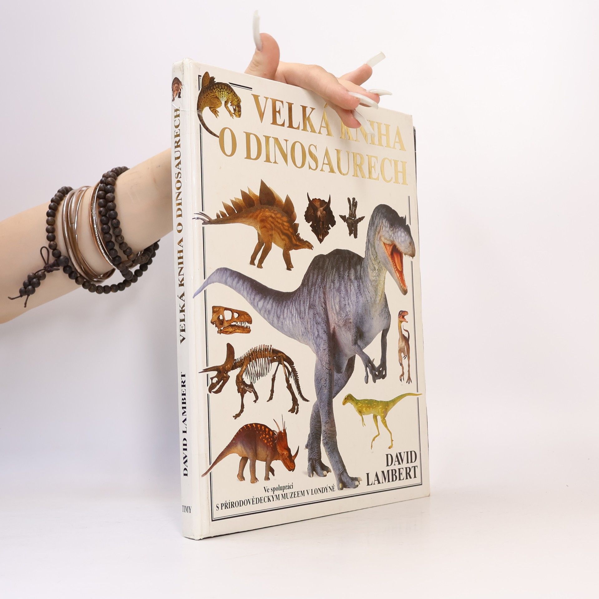 David Lambert Velká kniha o dinosaurech