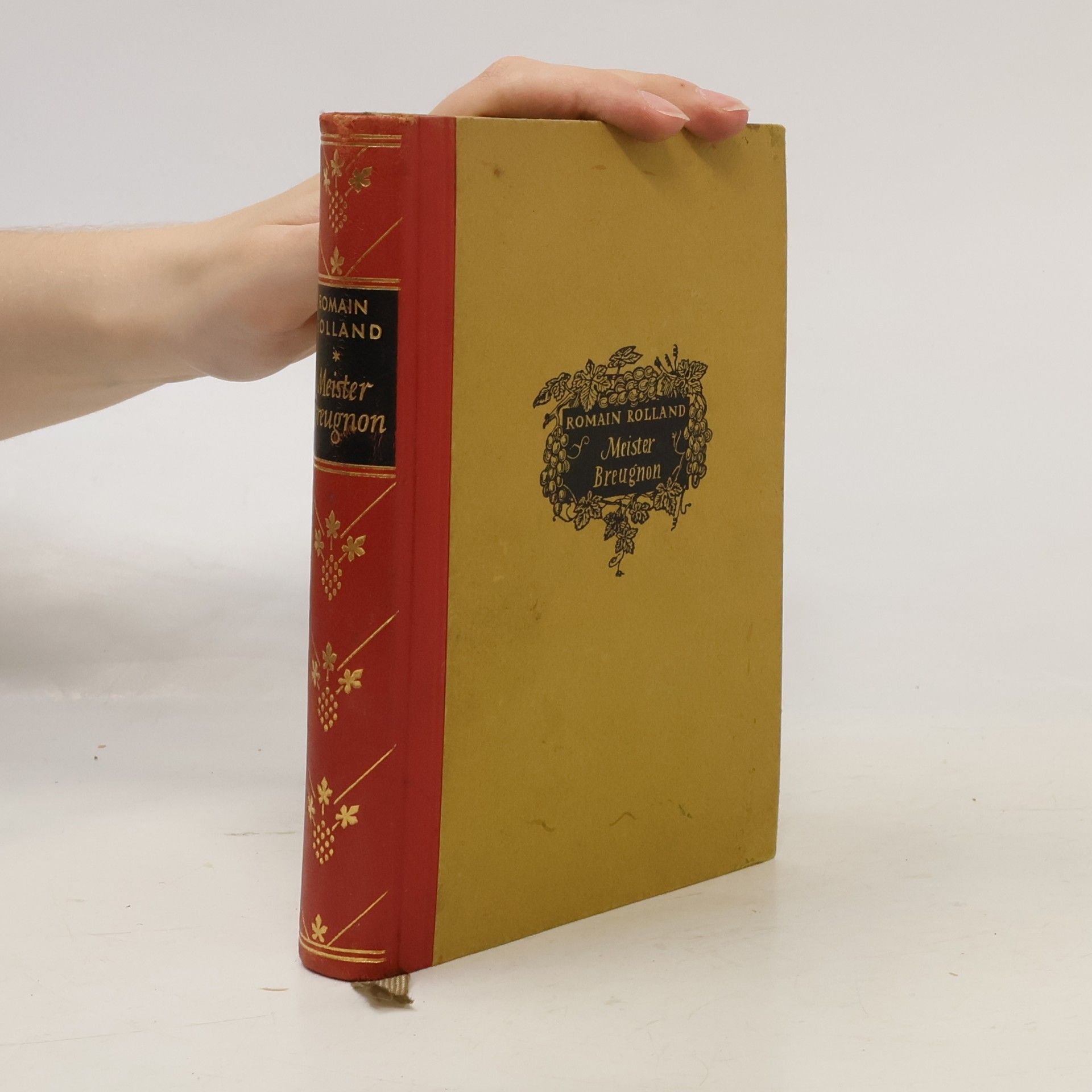 Romain Rolland Meister Breugnon