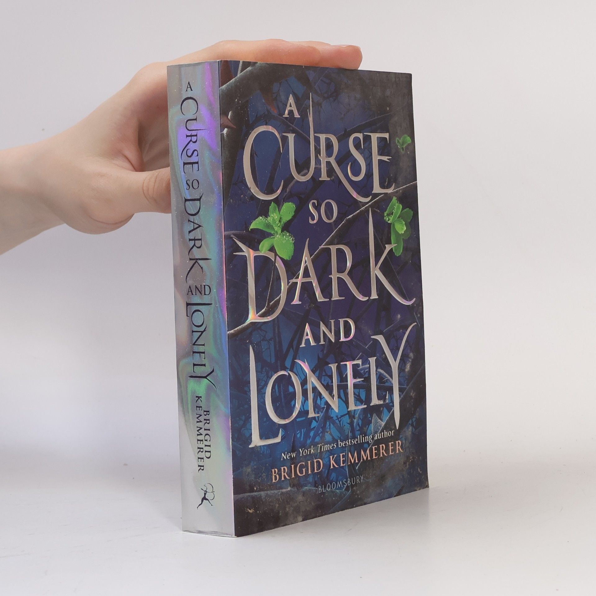 Brigid Kemmerer A curse so dark and lonely (1. díl série)