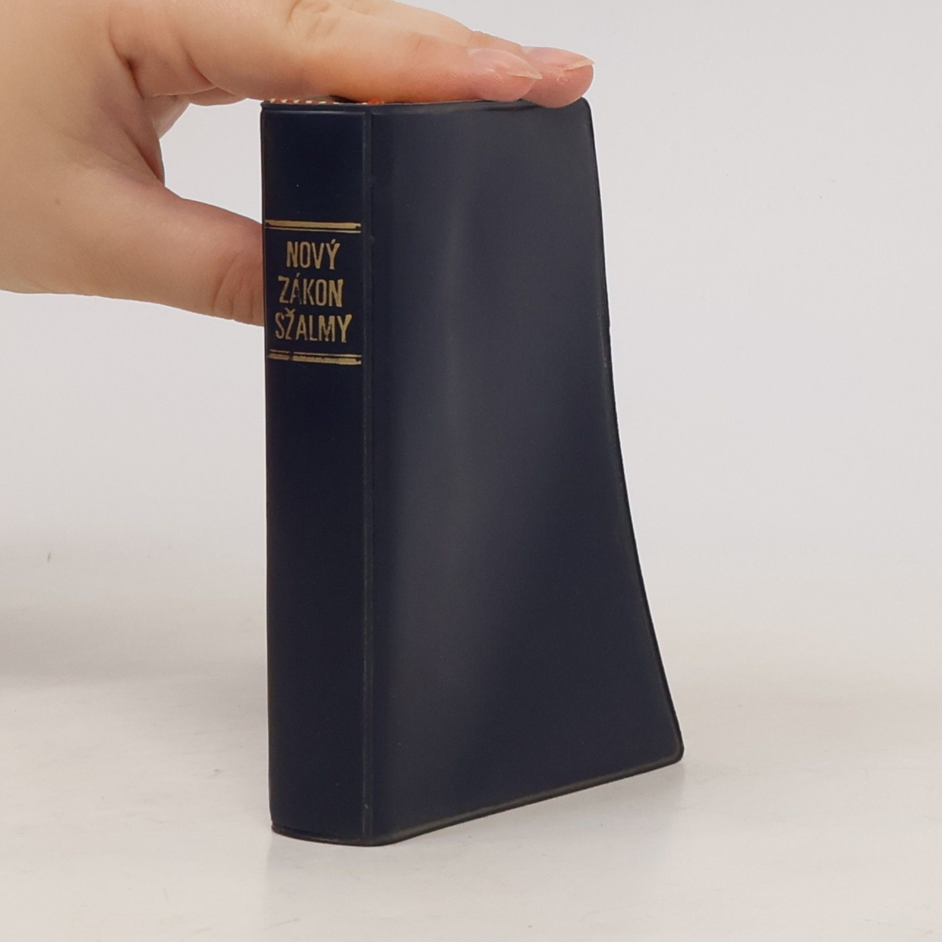 Kolektiv autorů Nový zákon s žalmy