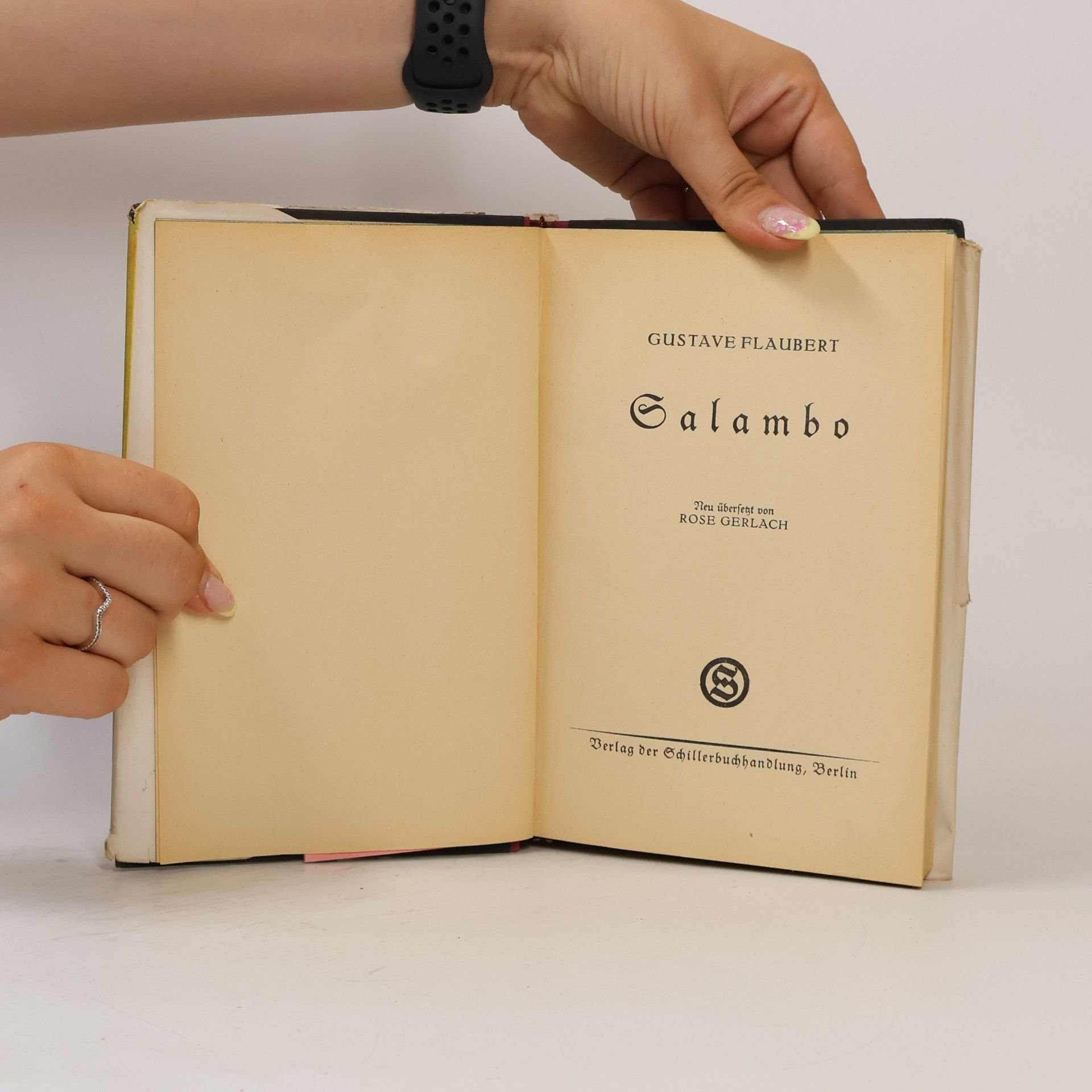 Gustave Flaubert Salambo