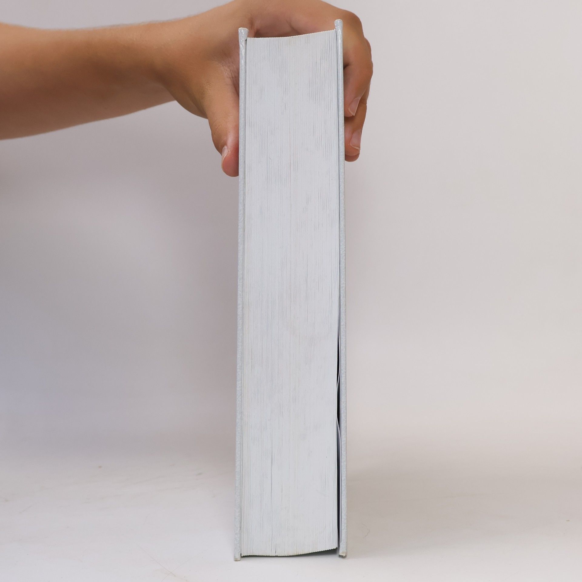 Kolektiv autorů Statistická ročenka České republiky 2010