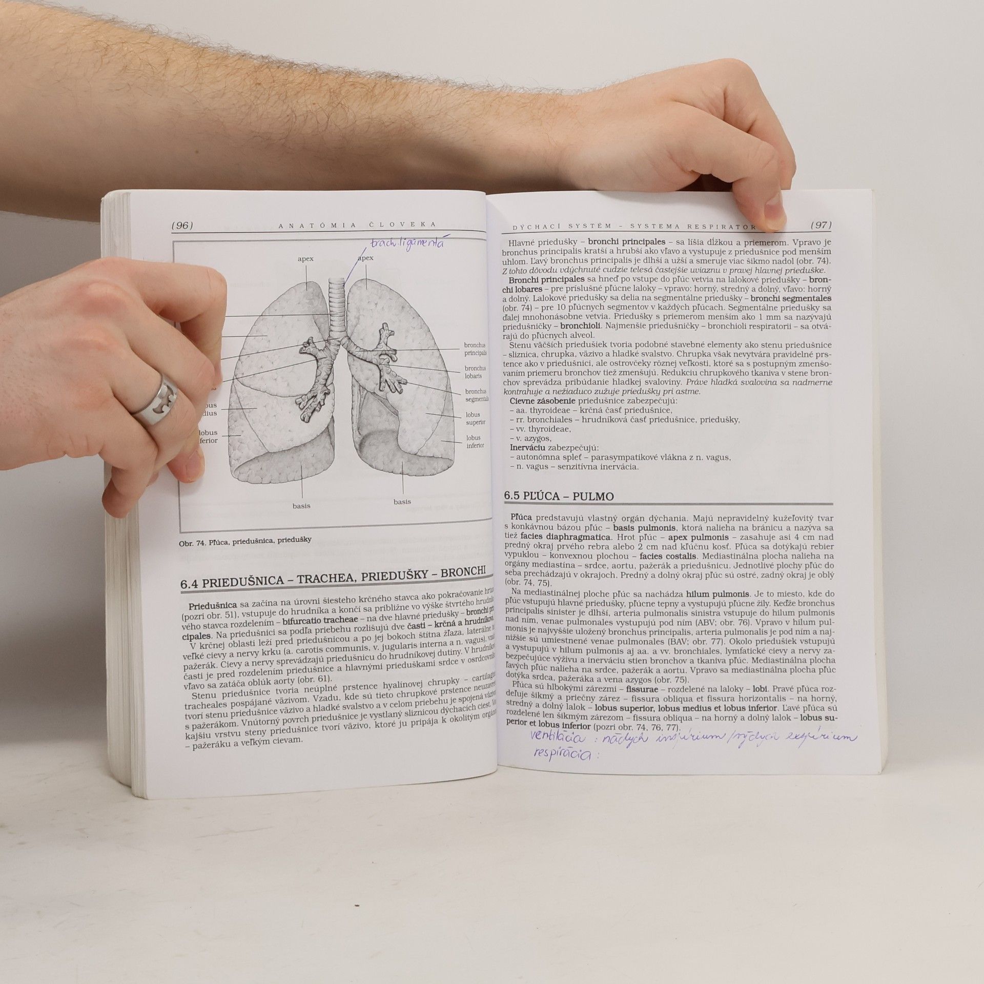 Kolektiv autorů Anatómia človeka pre nelekárske študijné odbory (3.vydanie)