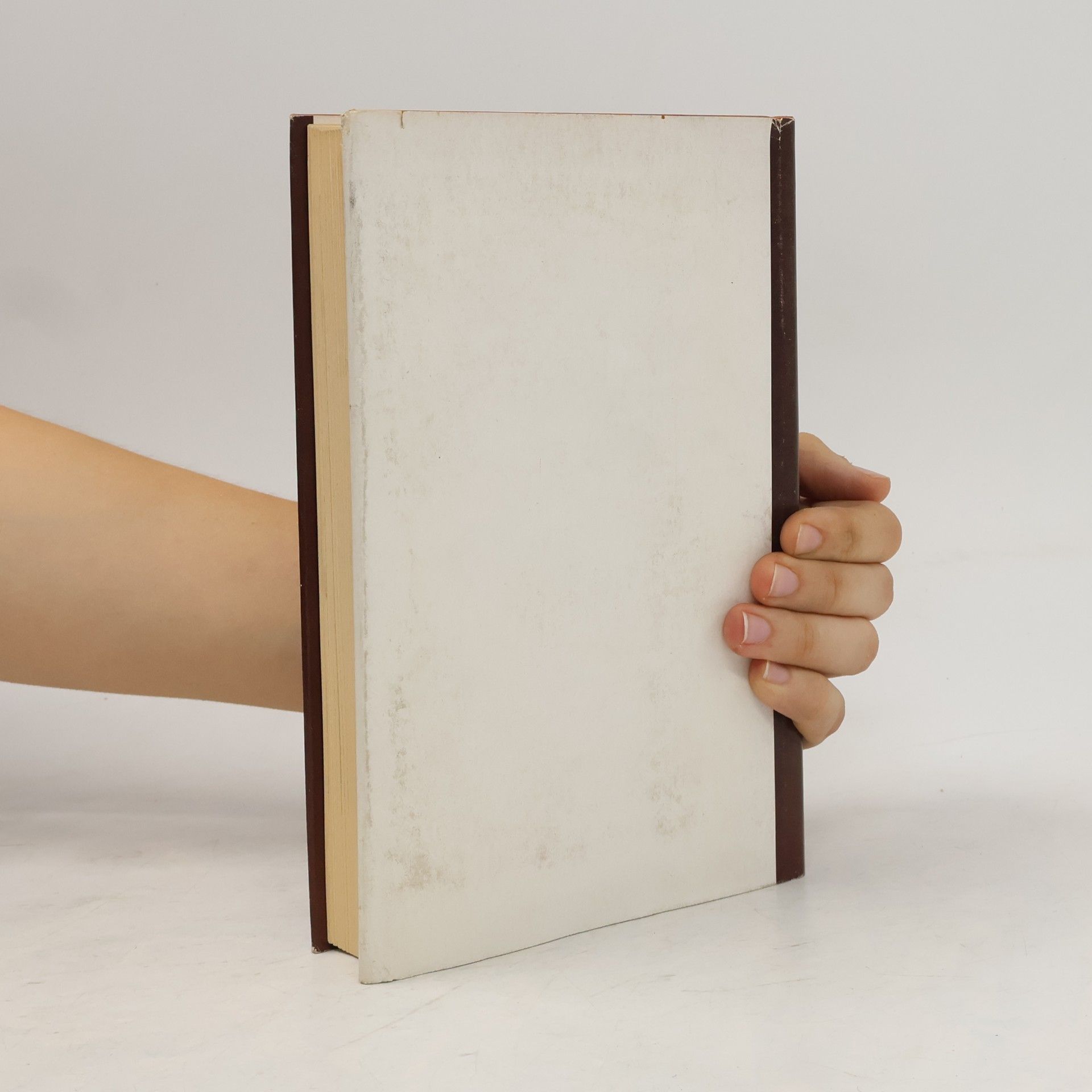 Albert Hochheimer Schatten der Weltgeschichte