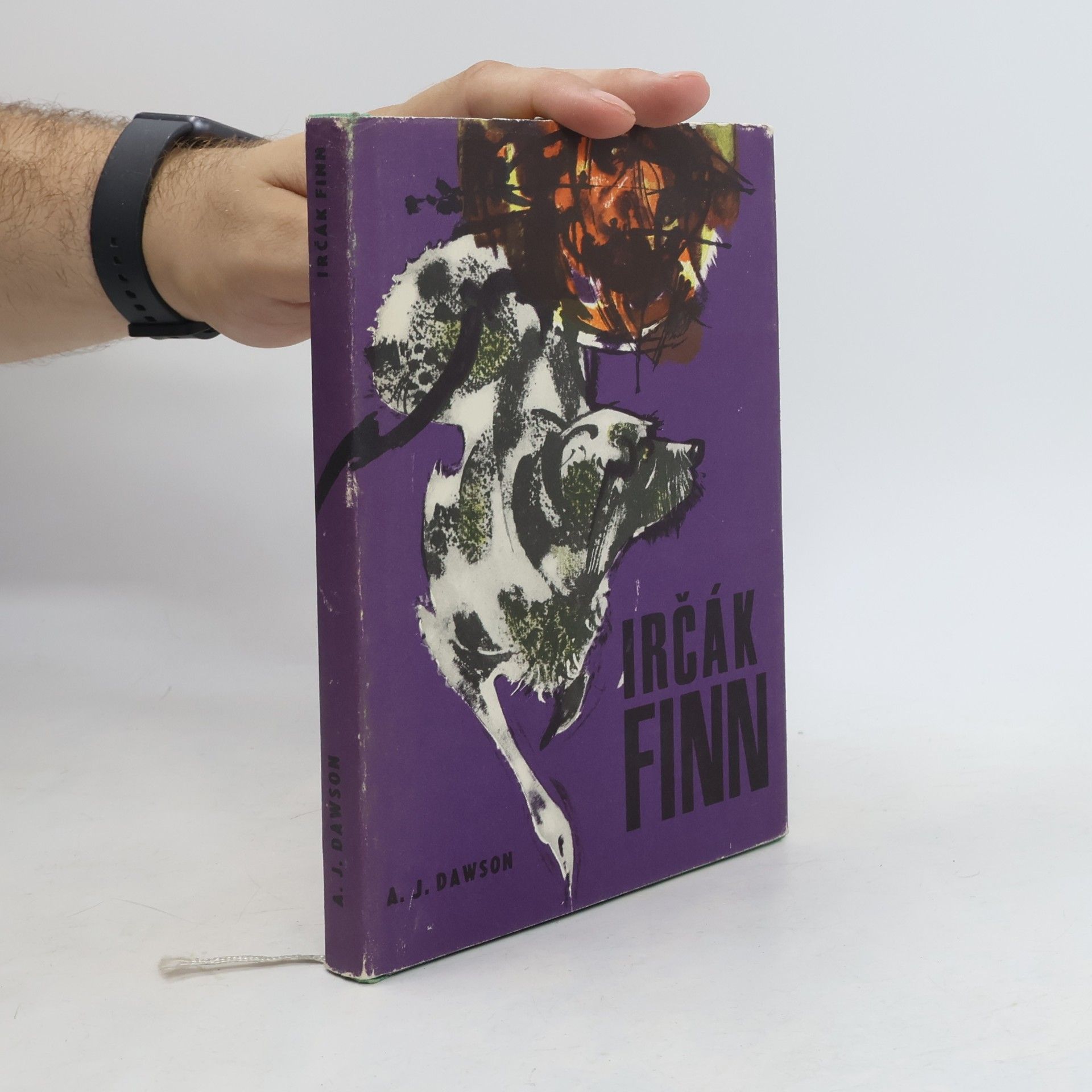 A. J. Dawson Irčák Finn