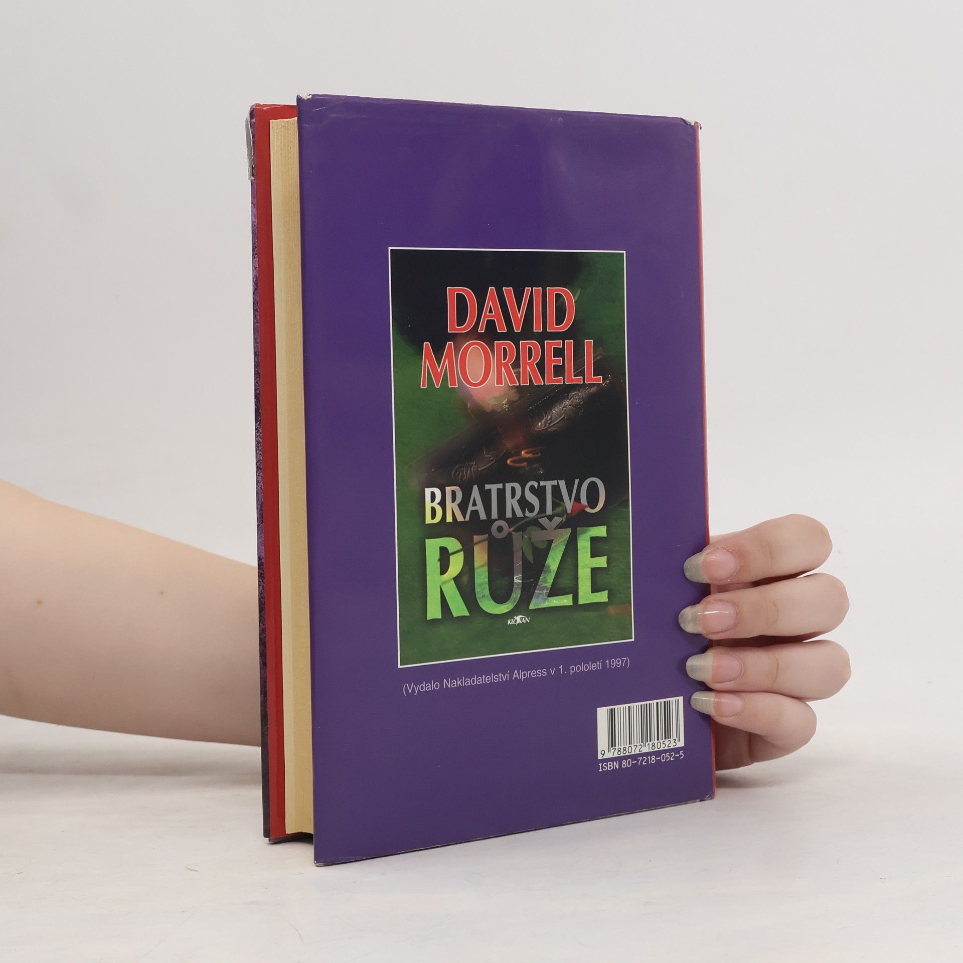 David Morrell Bratrstvo kamene