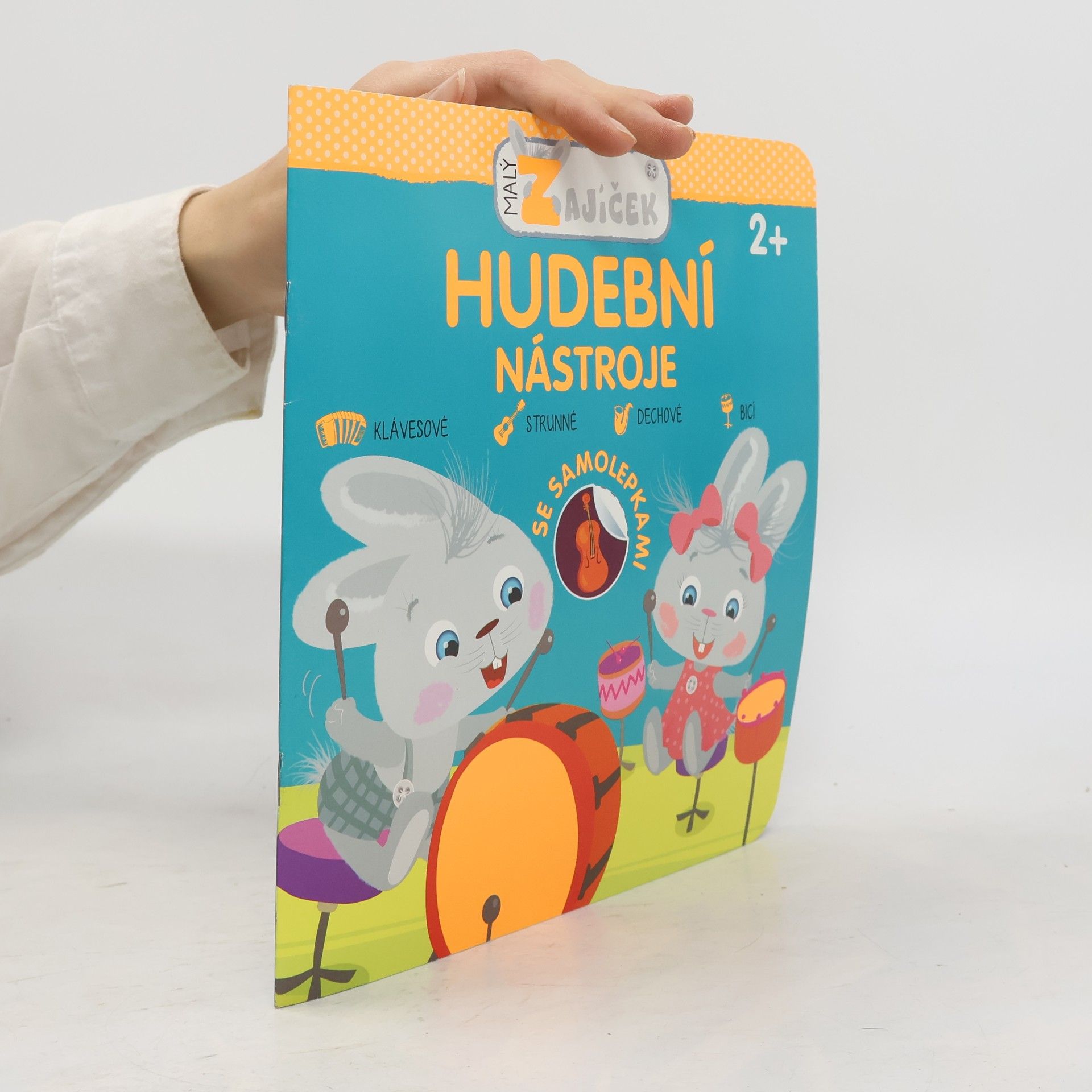 Autores varios Hudební nástroje - Malý zajíček