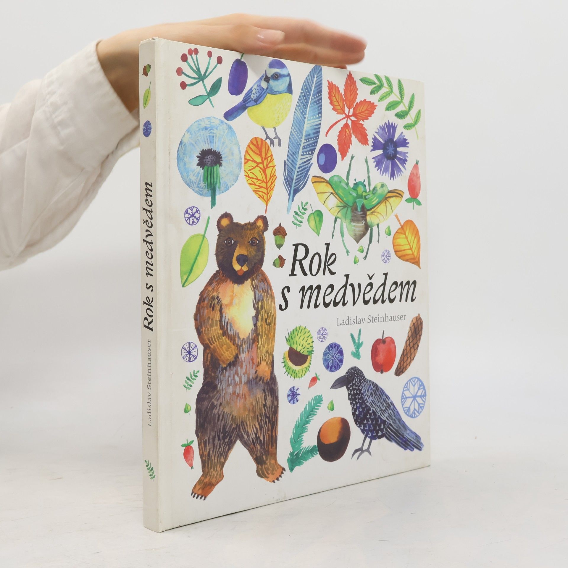 Ladislav Steinhauser Rok s medvědem