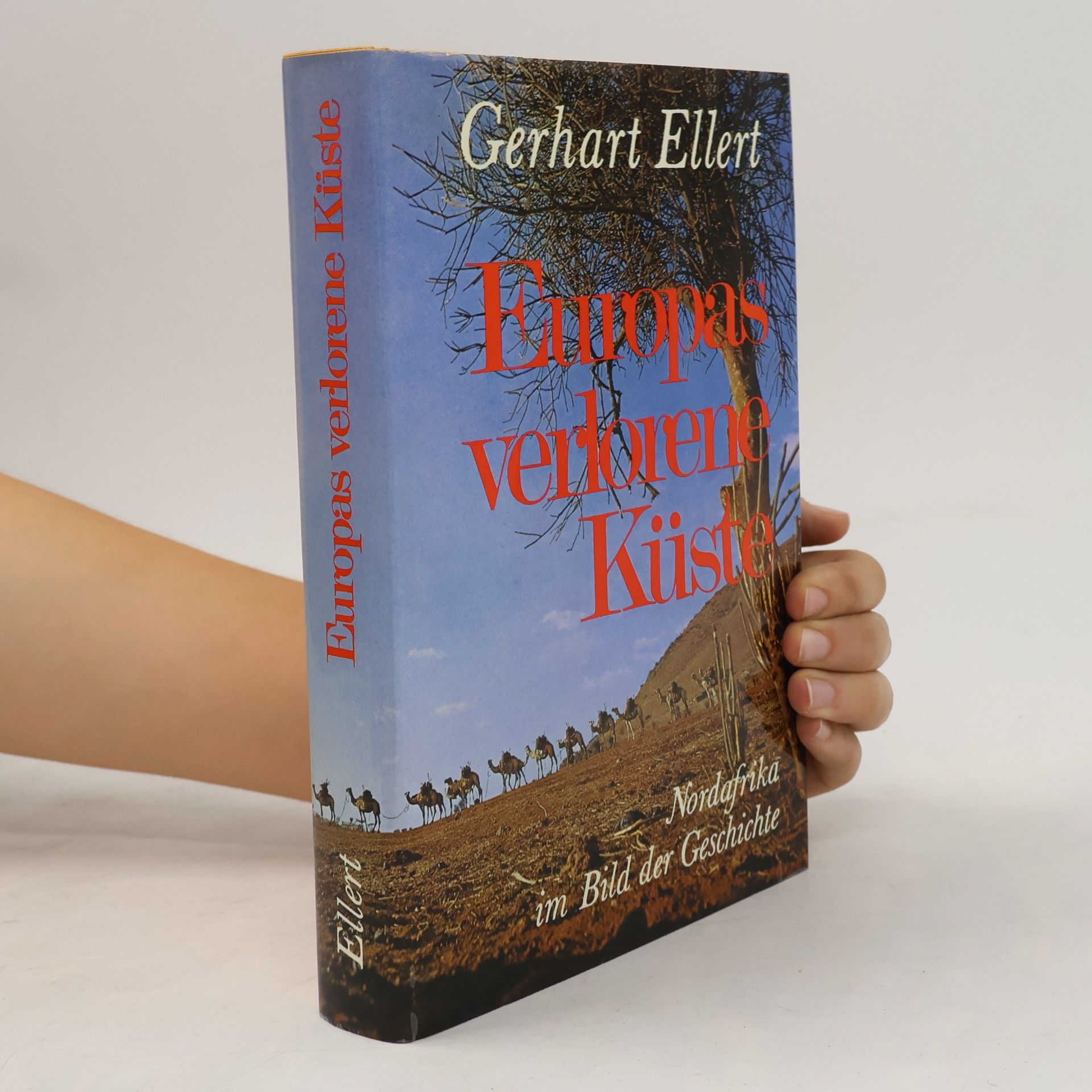 Gerhart Ellert Europas verlorene Küste