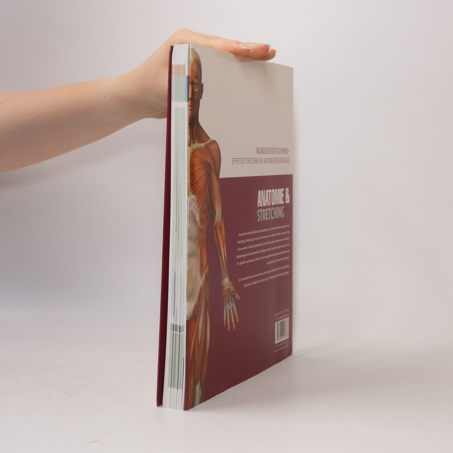 Guillermo Seijas Anatomie & Sport - 2: Anatomie & Stretching