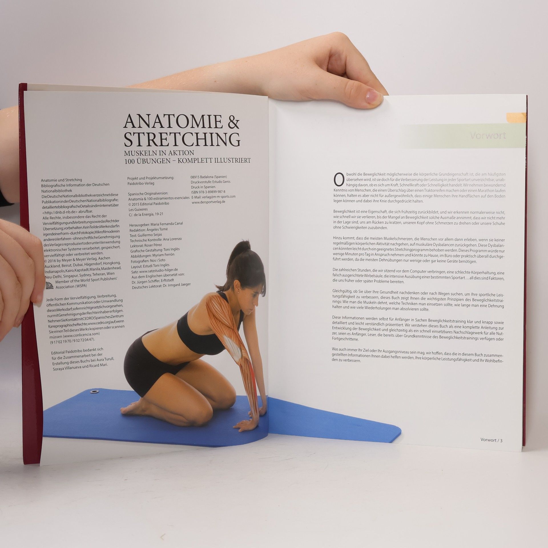 Guillermo Seijas Anatomie & Sport - 2: Anatomie & Stretching