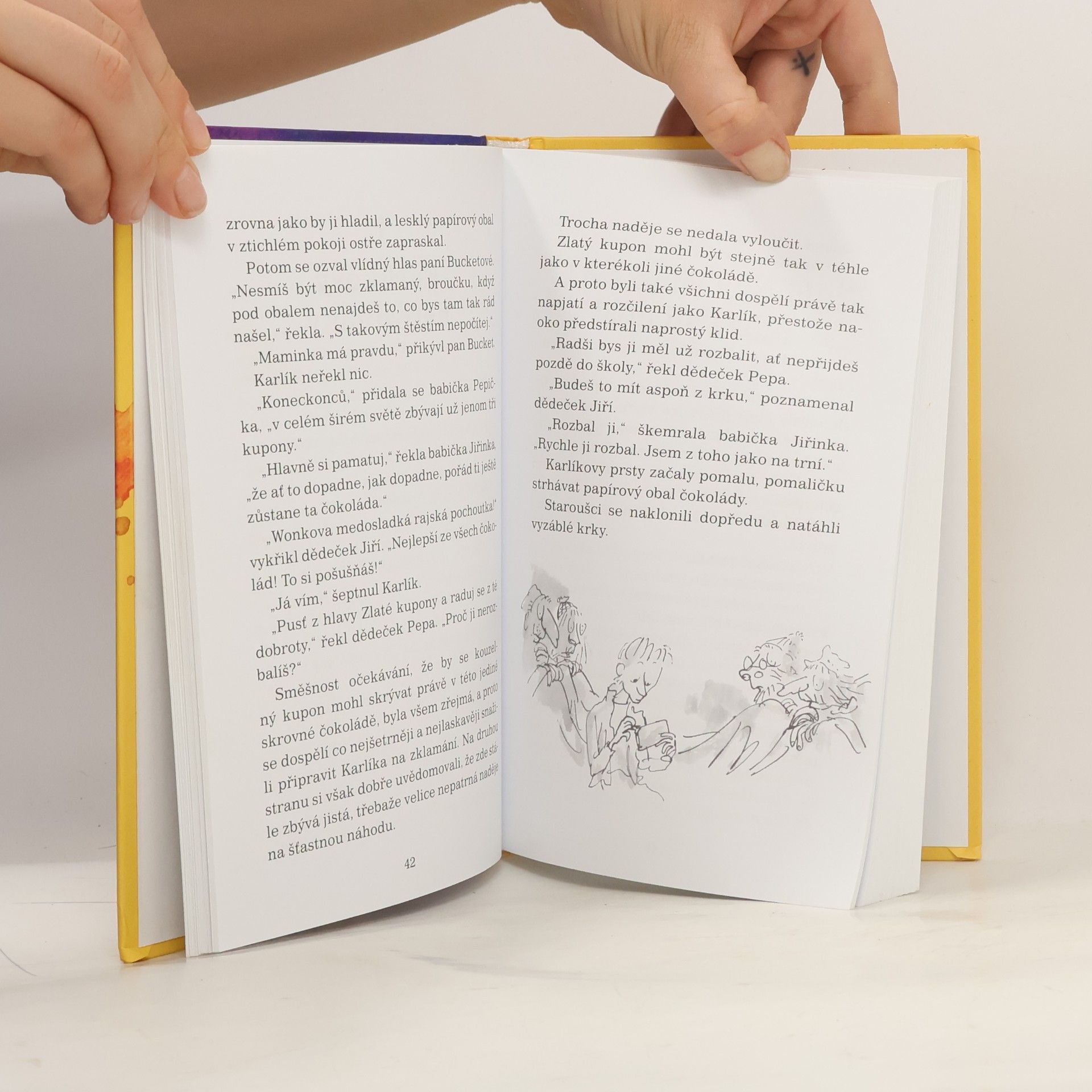 Roald Dahl Karlík a továrna na čokoládu
