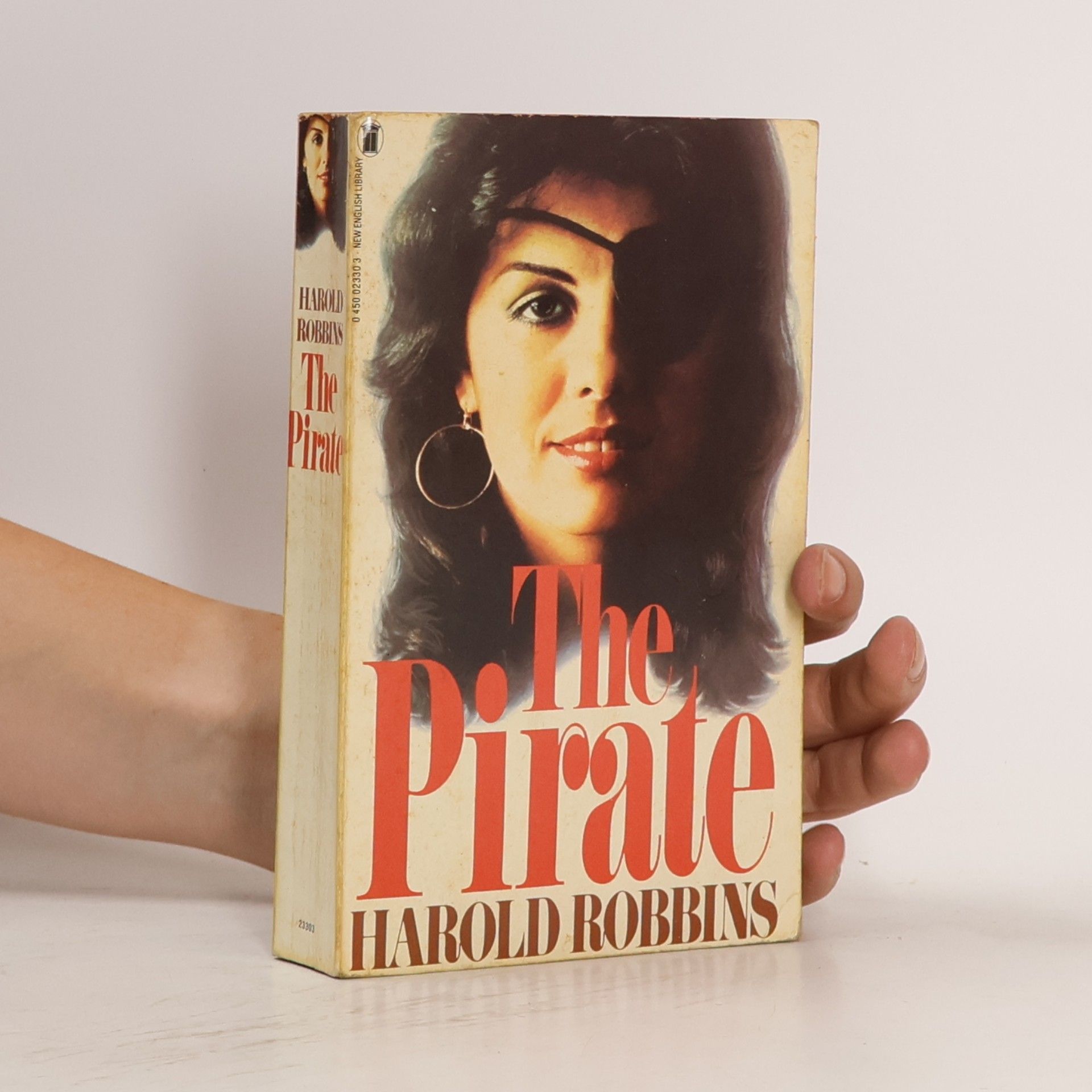 Harold Robbins The Pirate