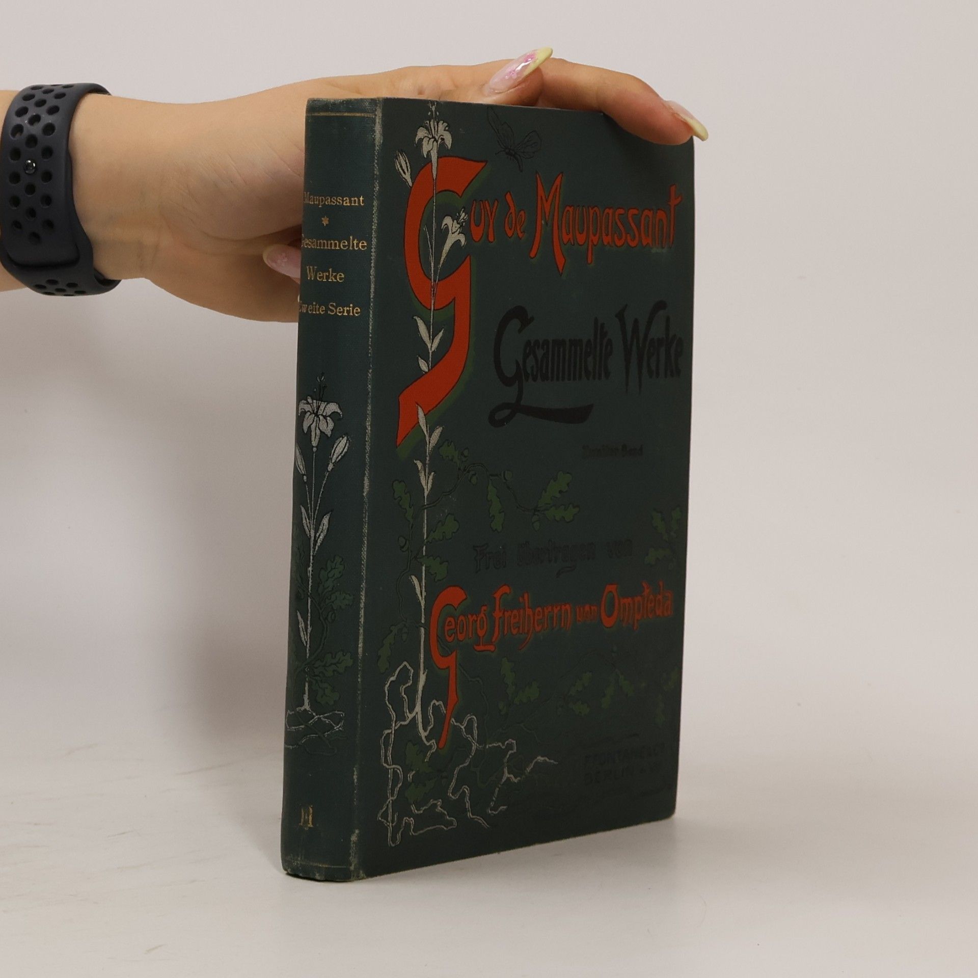 Guy de Maupassant Gesammelte Werke IX