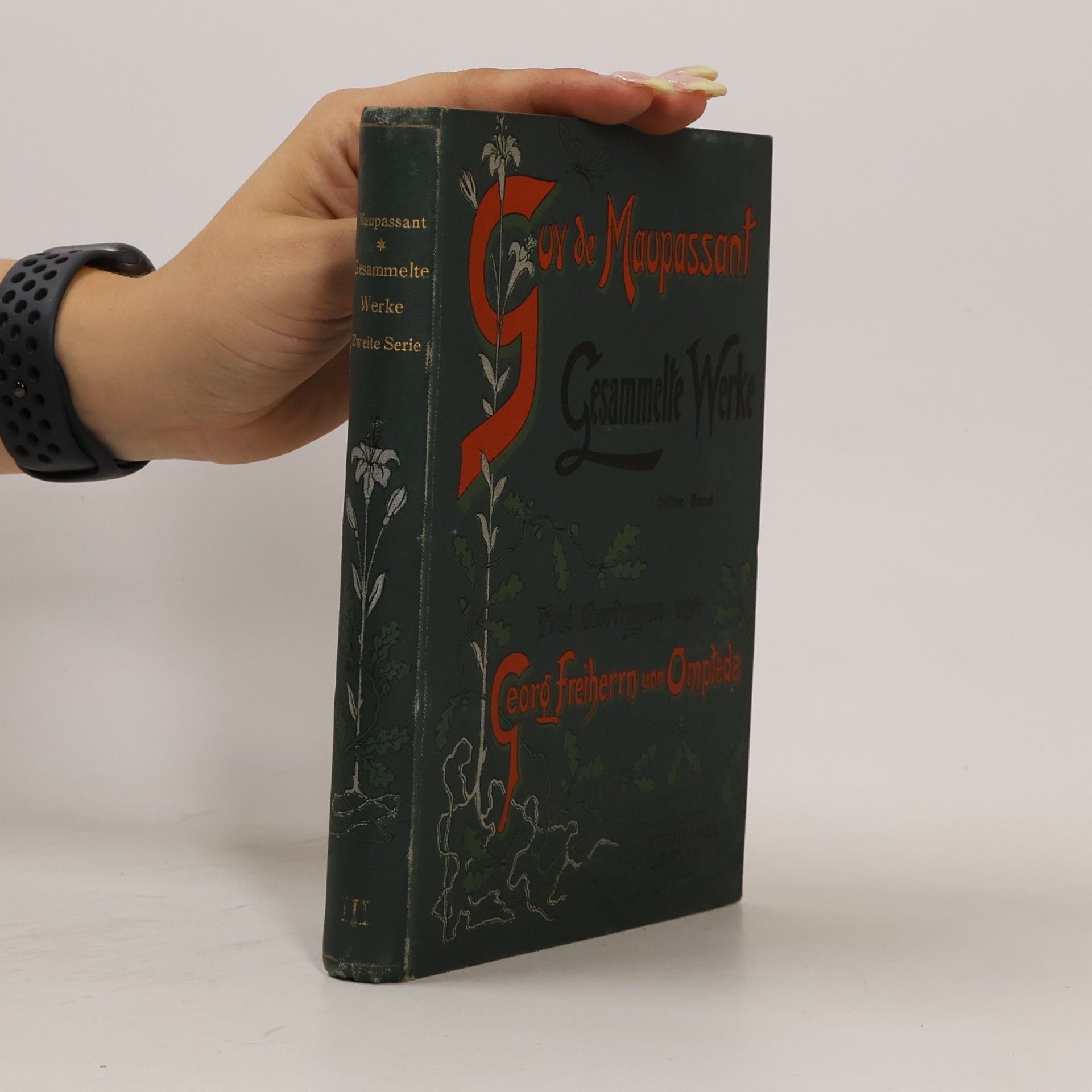 Guy de Maupassant Gesammelte Werke IX