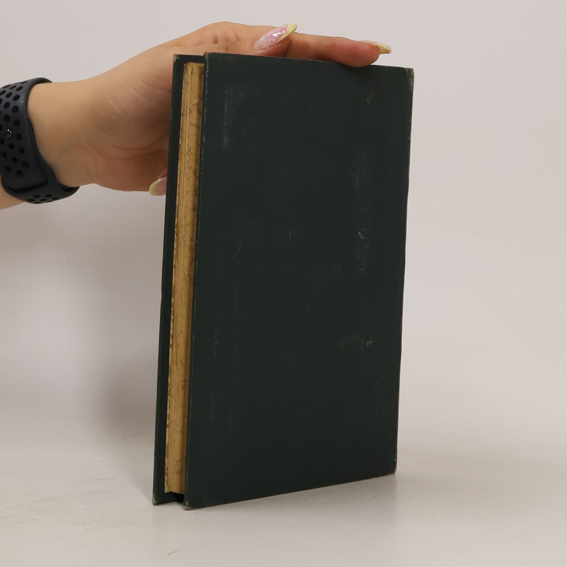 Guy de Maupassant Gesammelte Werke IX