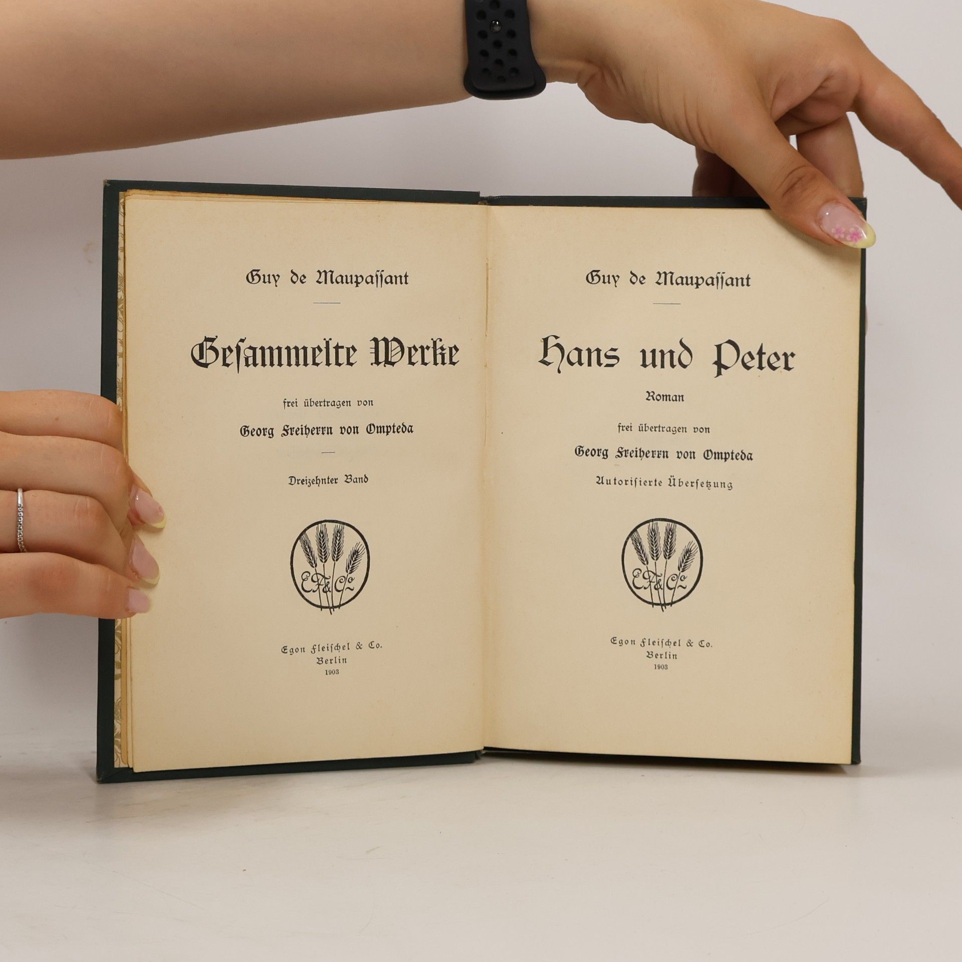 Guy de Maupassant Gesammelte Werke IX