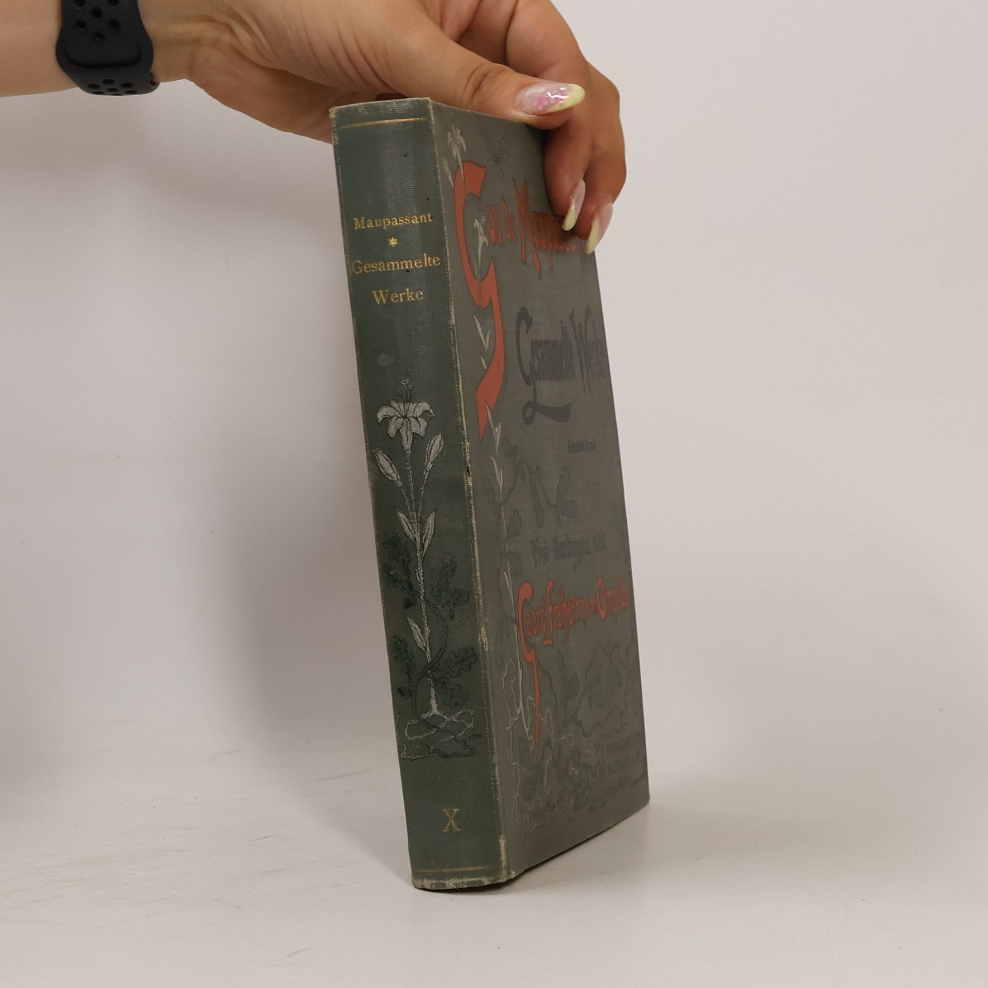 Guy de Maupassant Ein Menschenleben