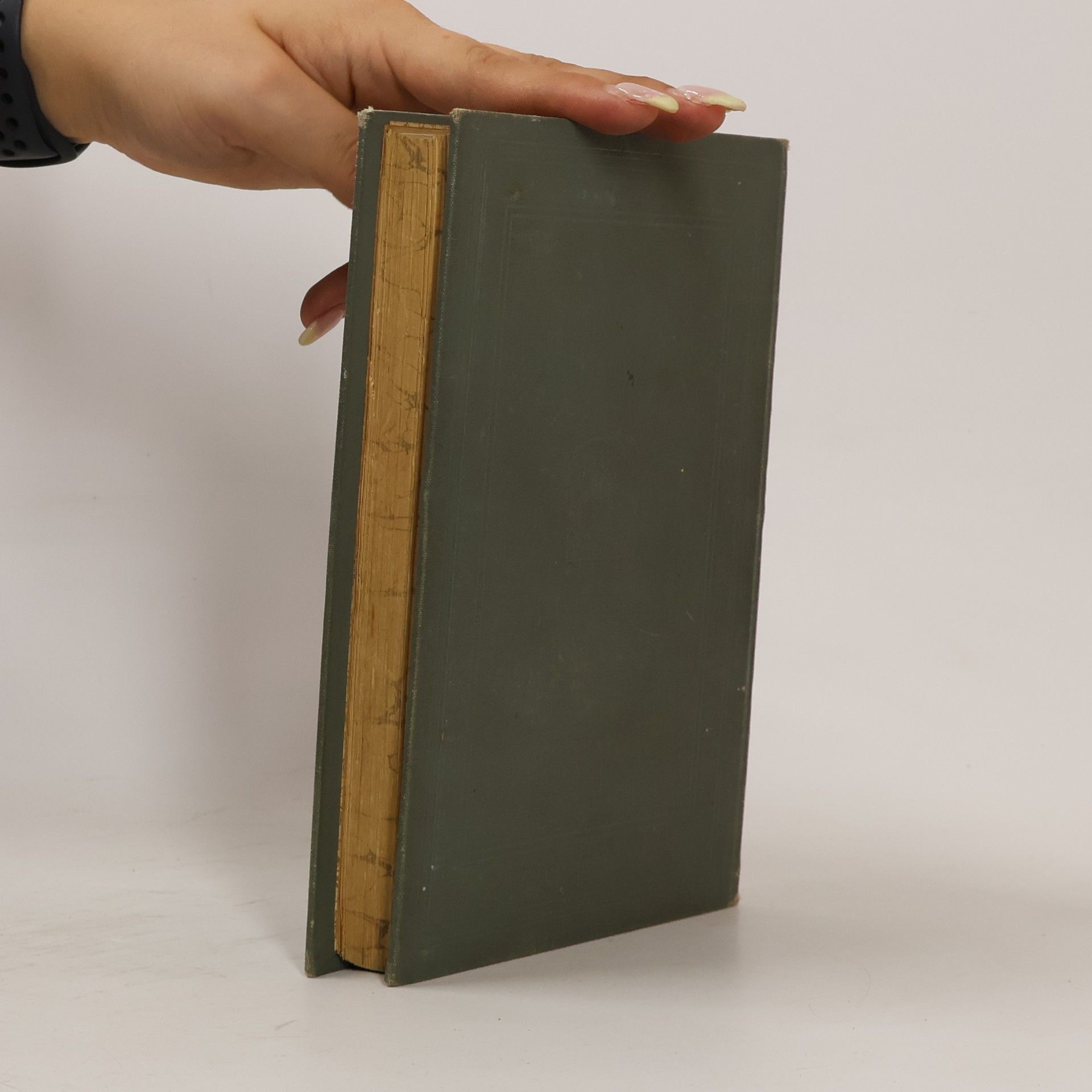 Guy de Maupassant Ein Menschenleben