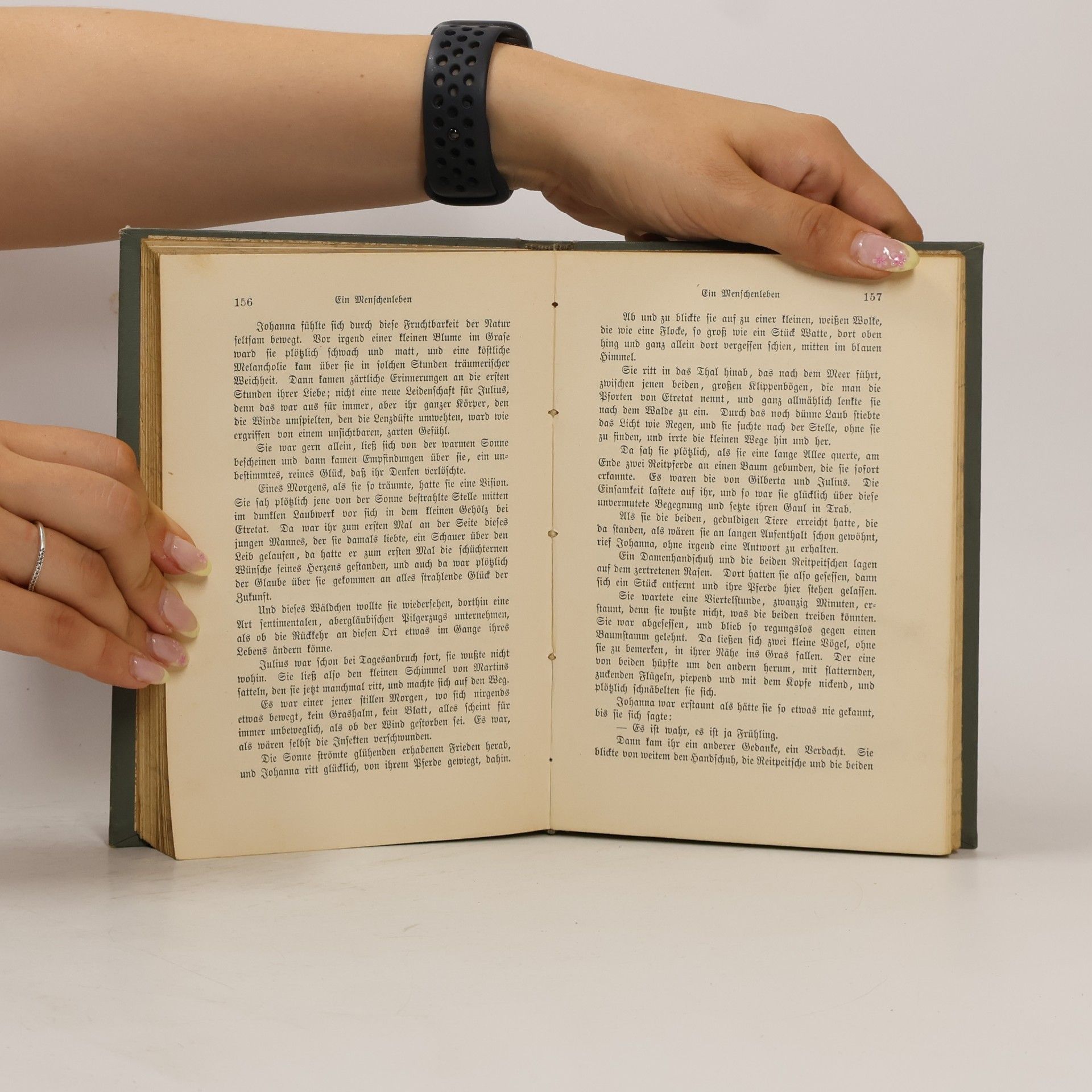 Guy de Maupassant Ein Menschenleben