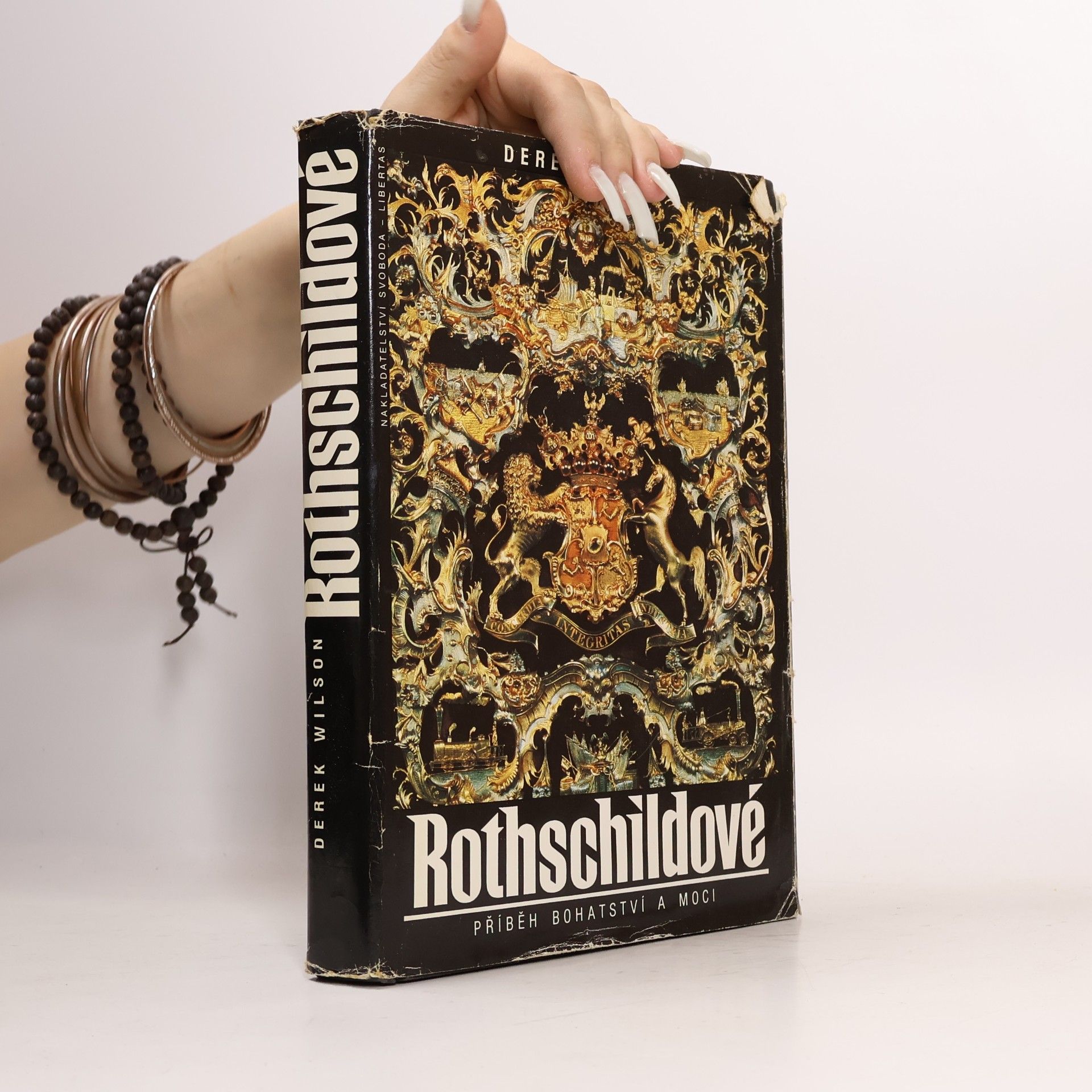 Derek A. Wilson Rothschildové. Příběh bohatství a moci