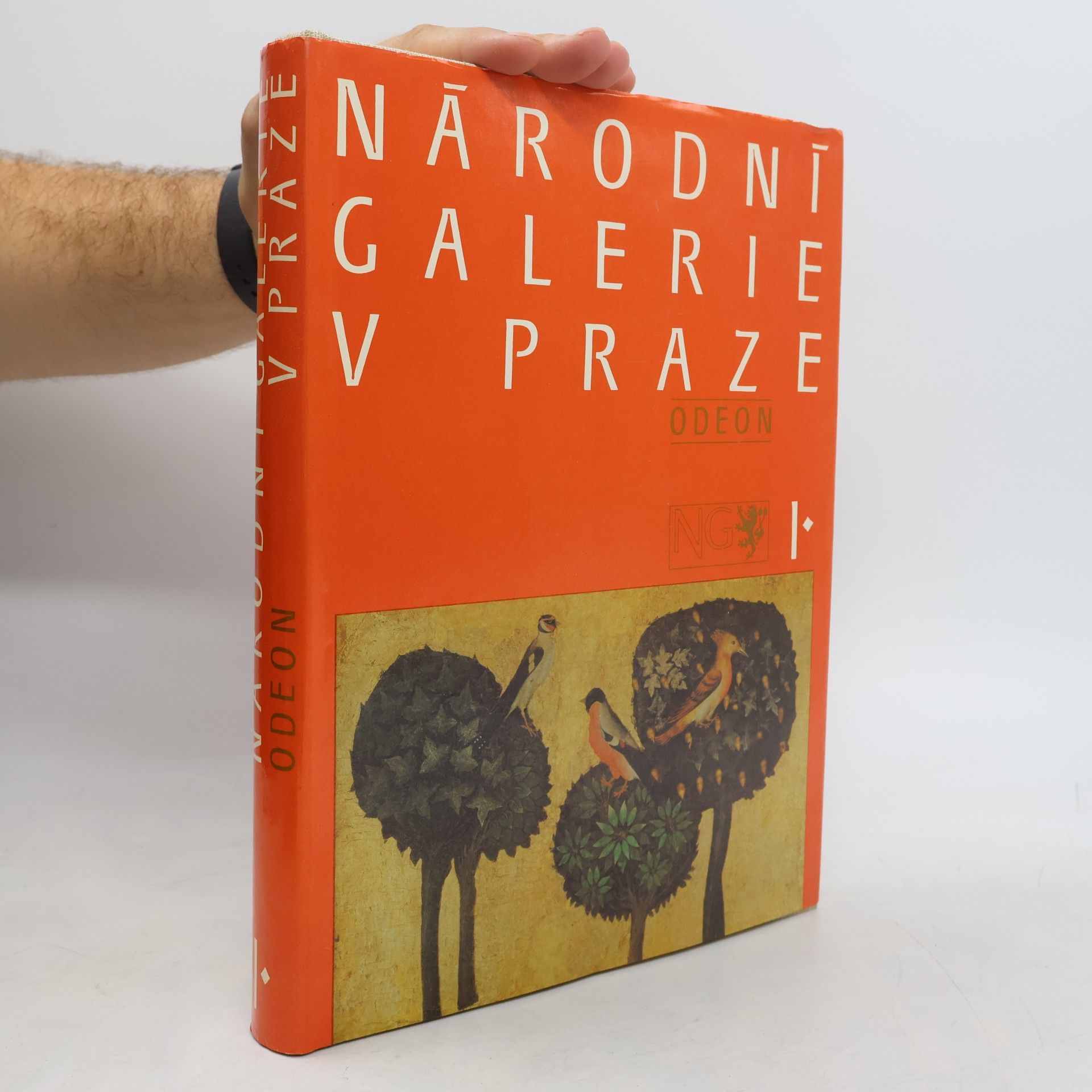 Kolektiv autorů Národní galerie v Praze