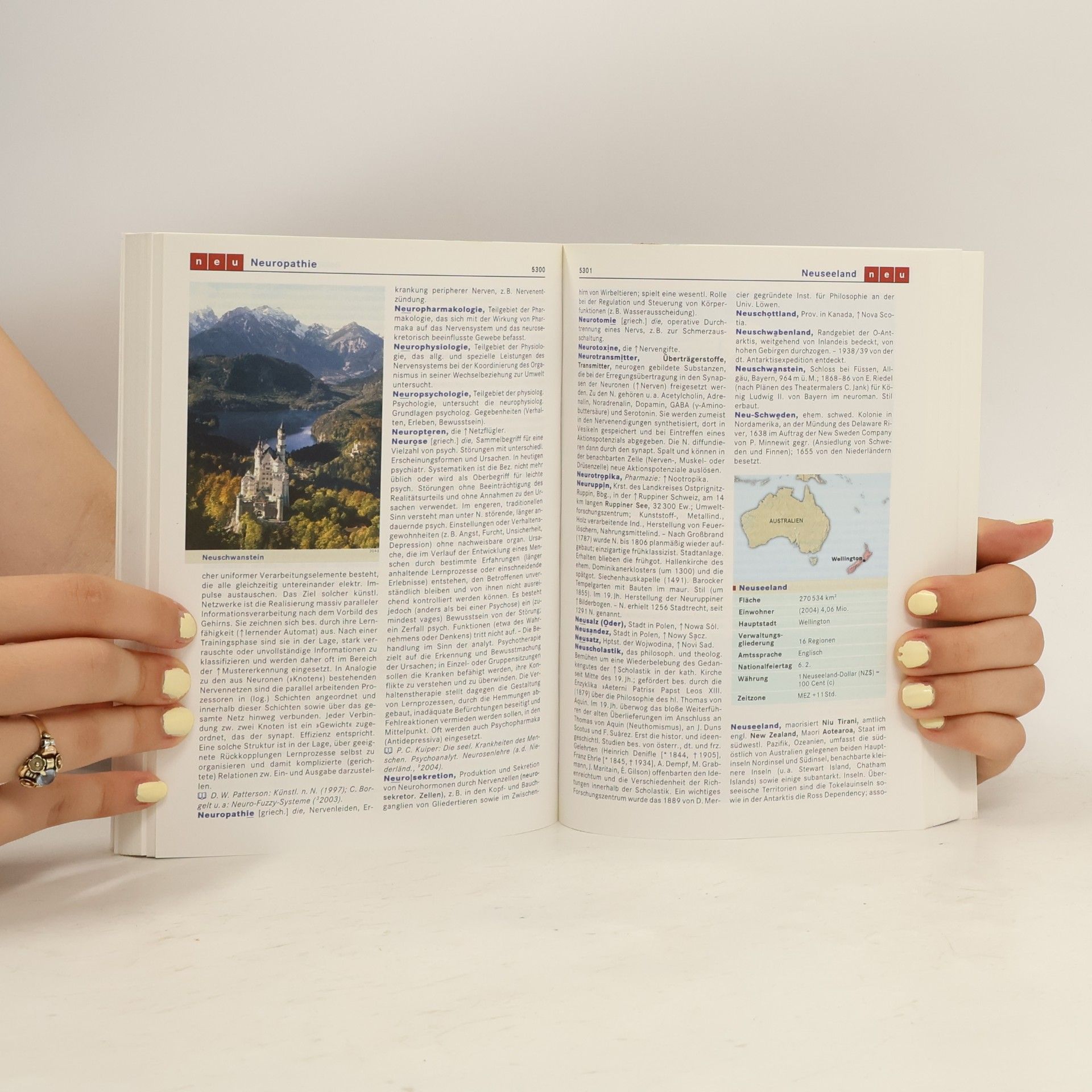Bibliographisches Institut. Lexikonredaktion Meyers Großes Taschenlexikon
